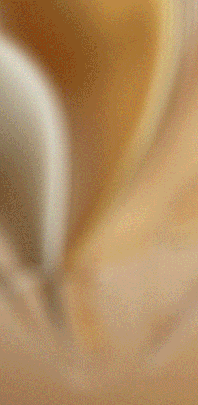 1.gif