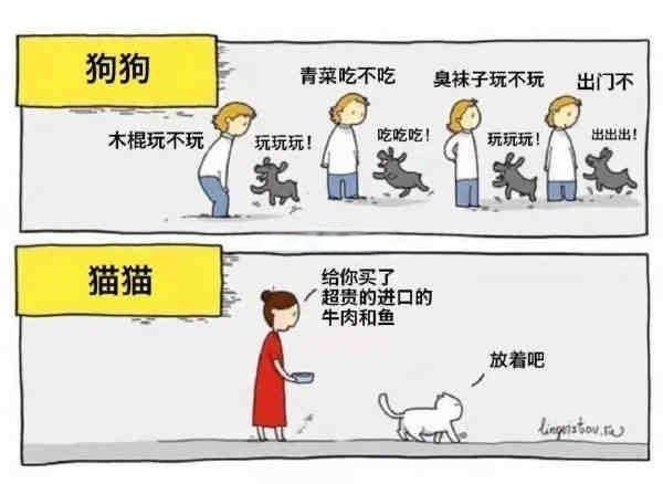 71cf3bc79f3df8dc52a6d149d697cb82451028da.jpeg