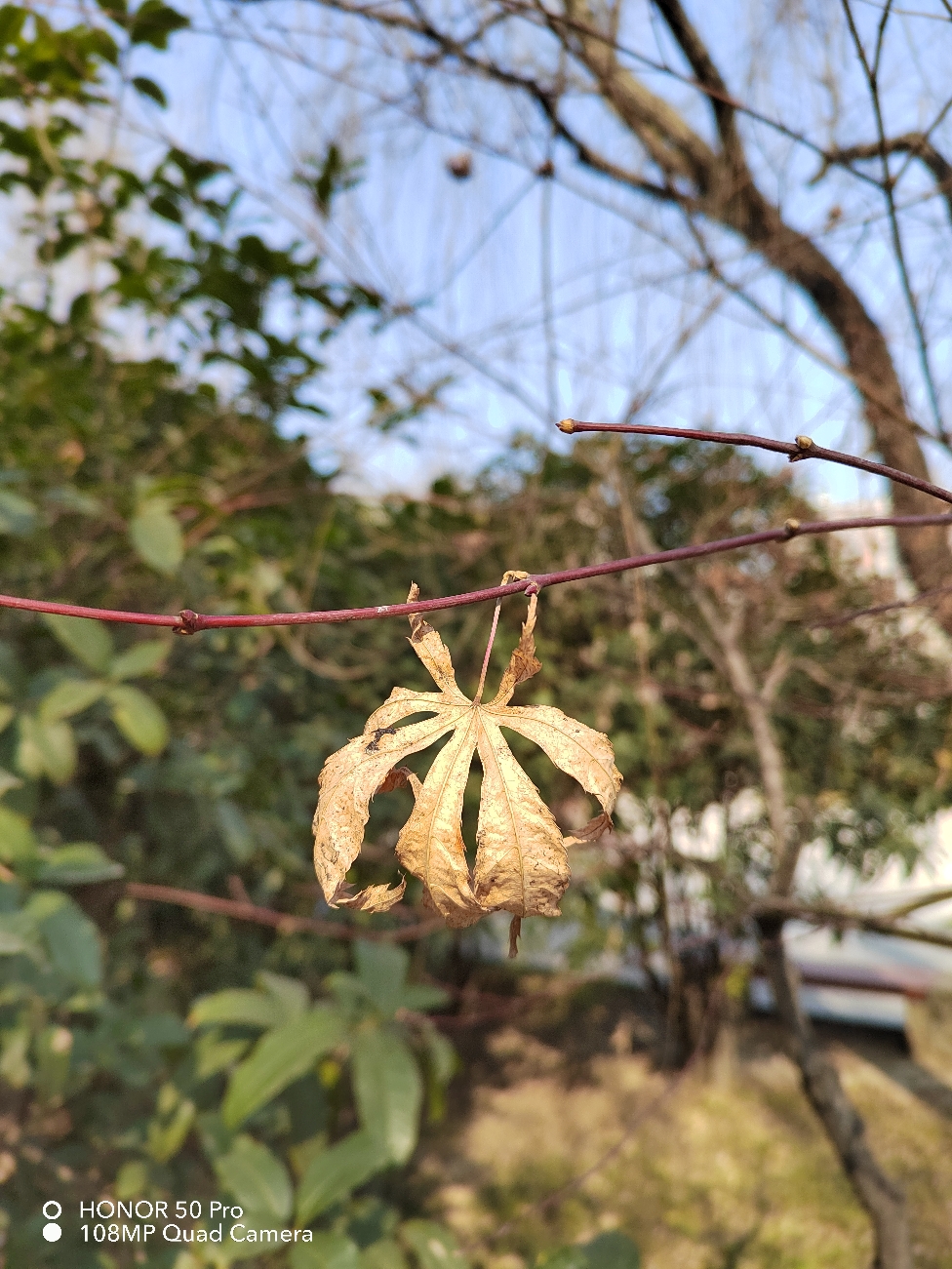 IMG_20220116_123758.jpg