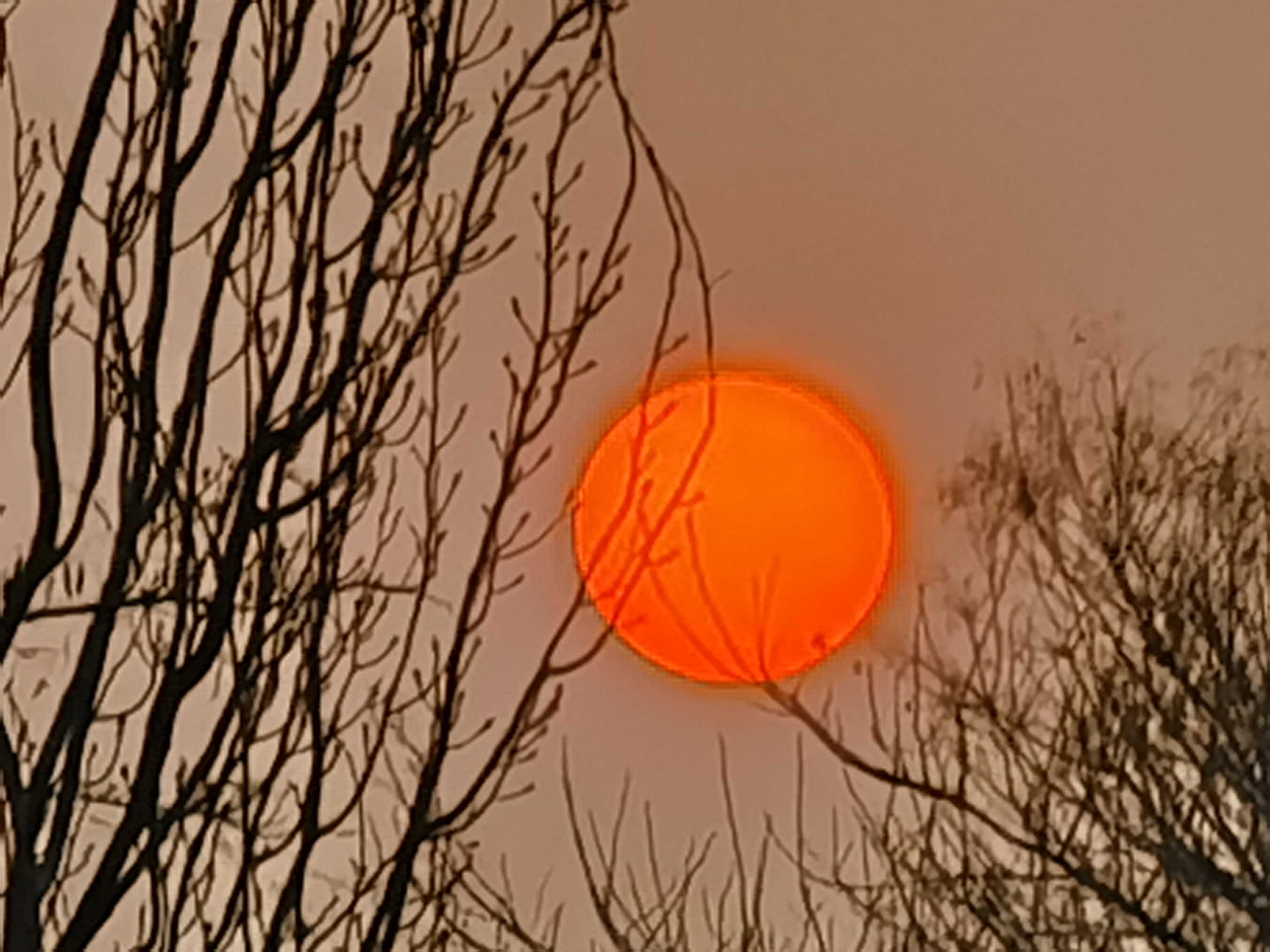 IMG_20220118_163936.jpg