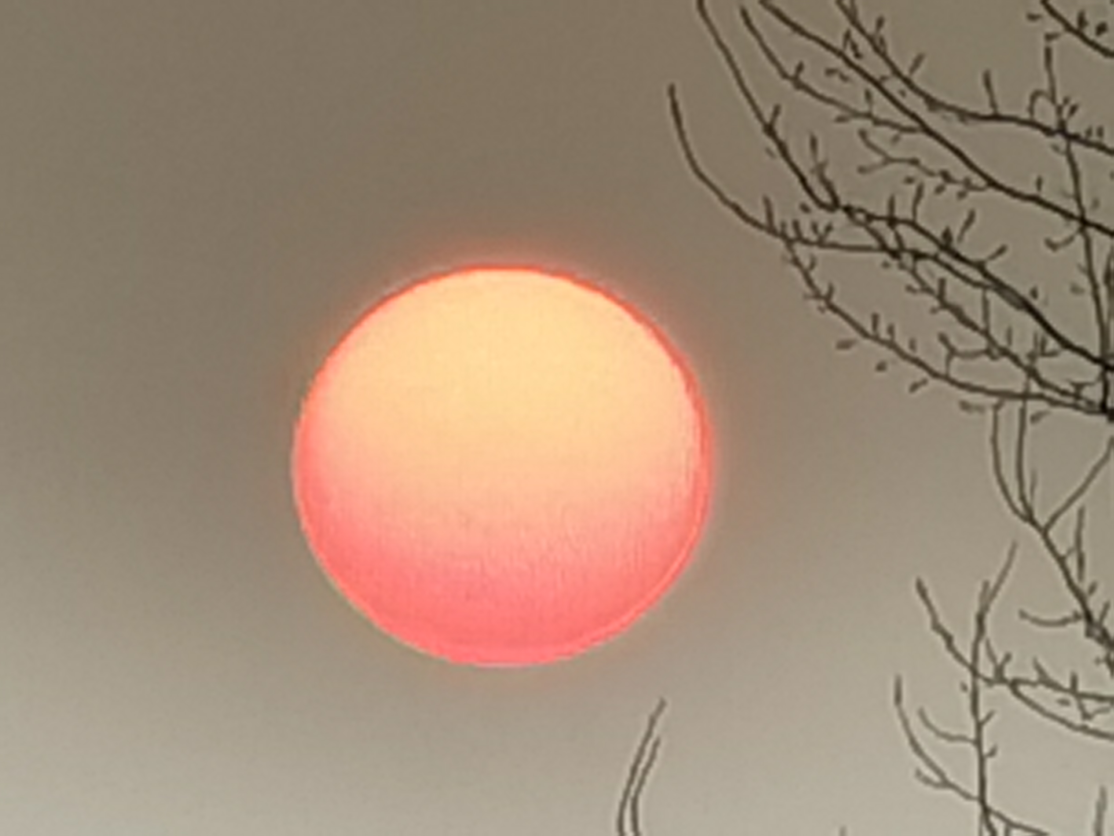 IMG_20220118_164546.jpg