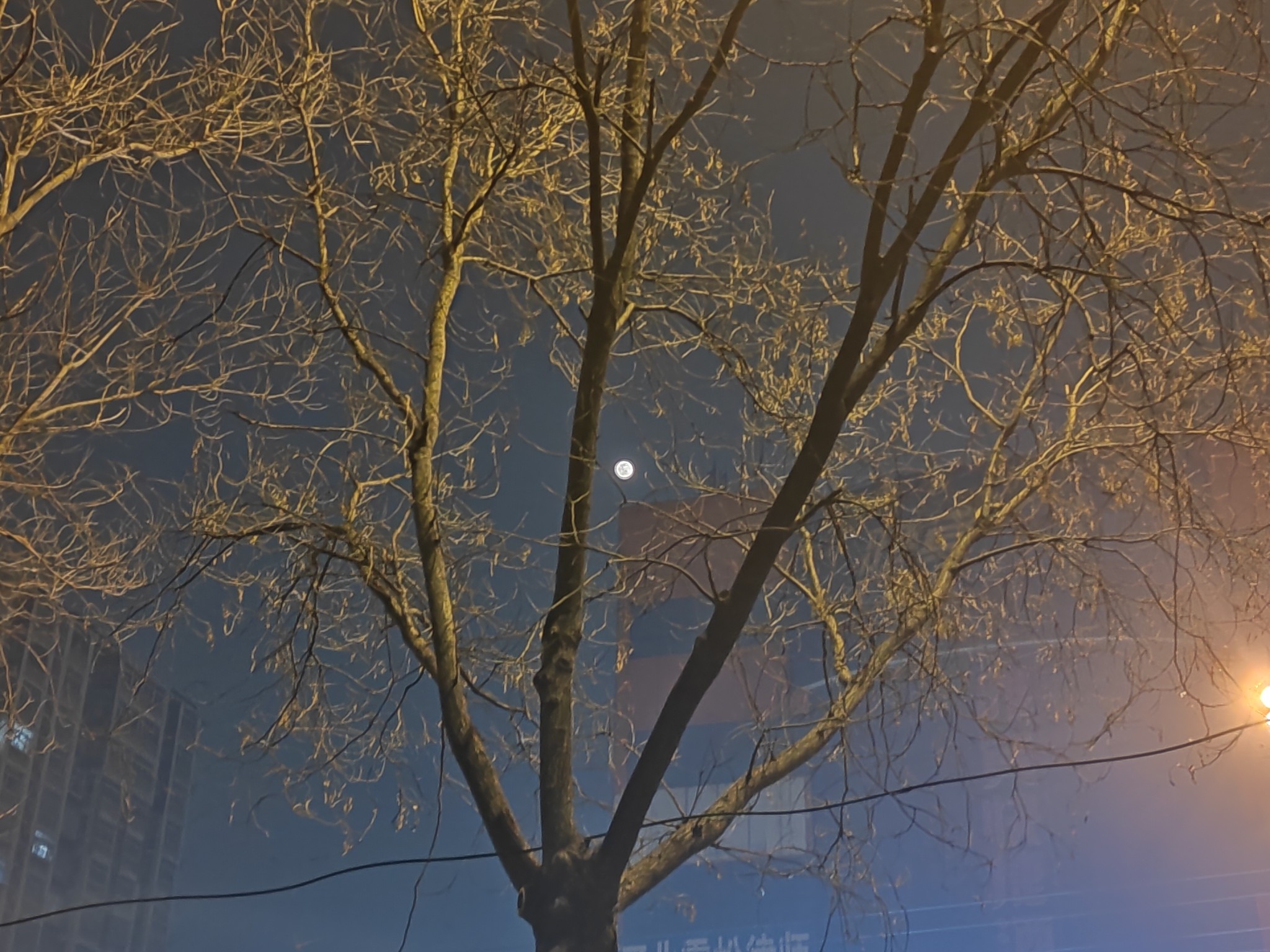IMG_20220118_201705.jpg