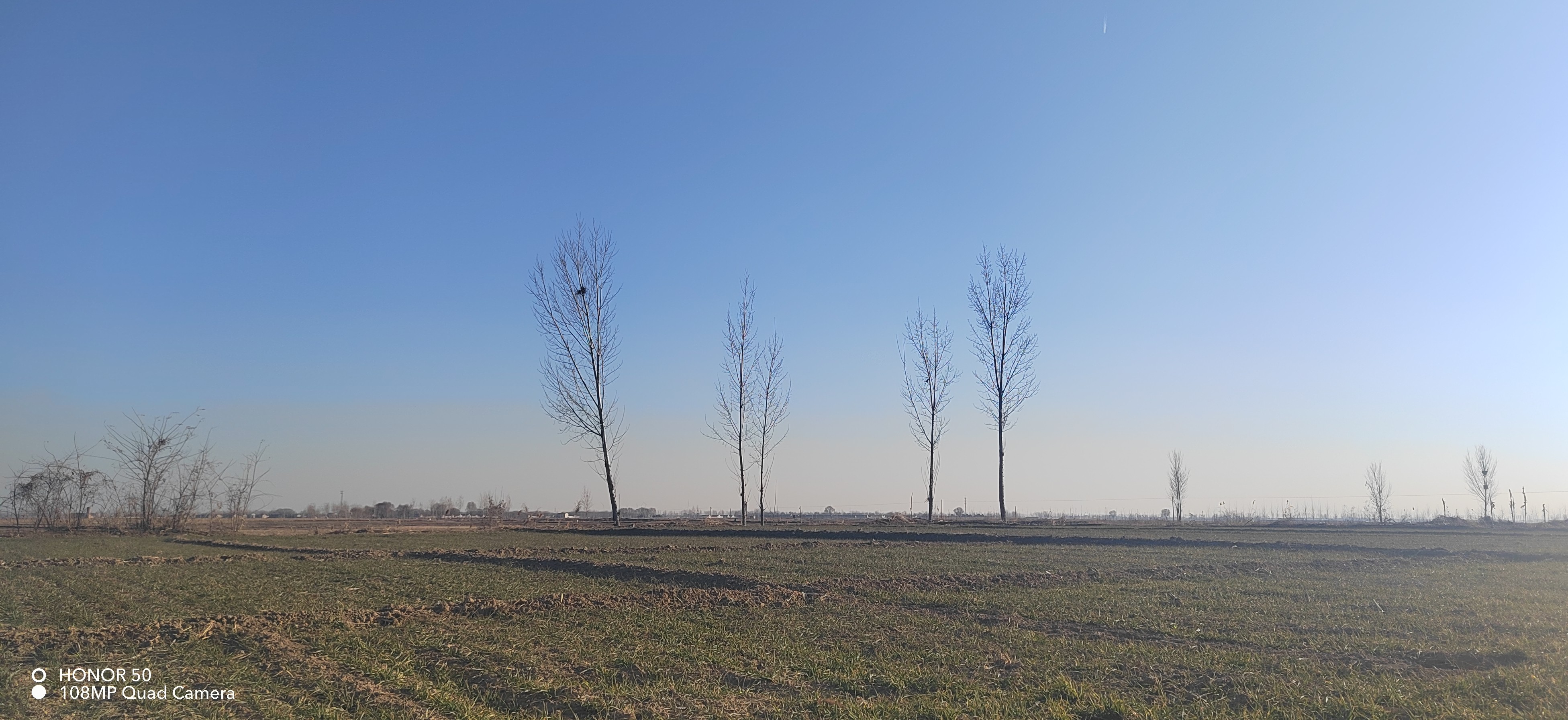 IMG_20220117_153310.jpg