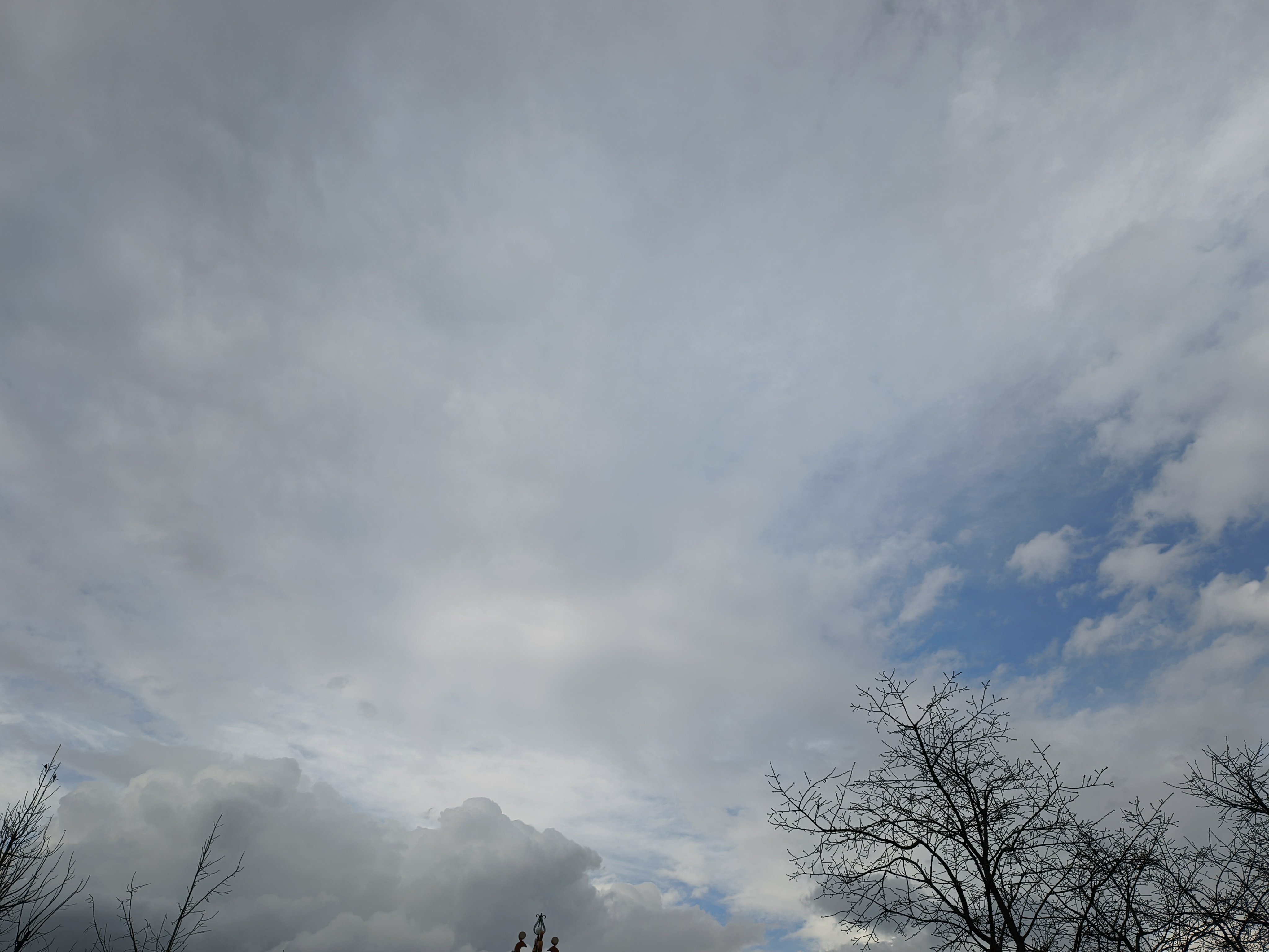 IMG_20220119_172857.jpg