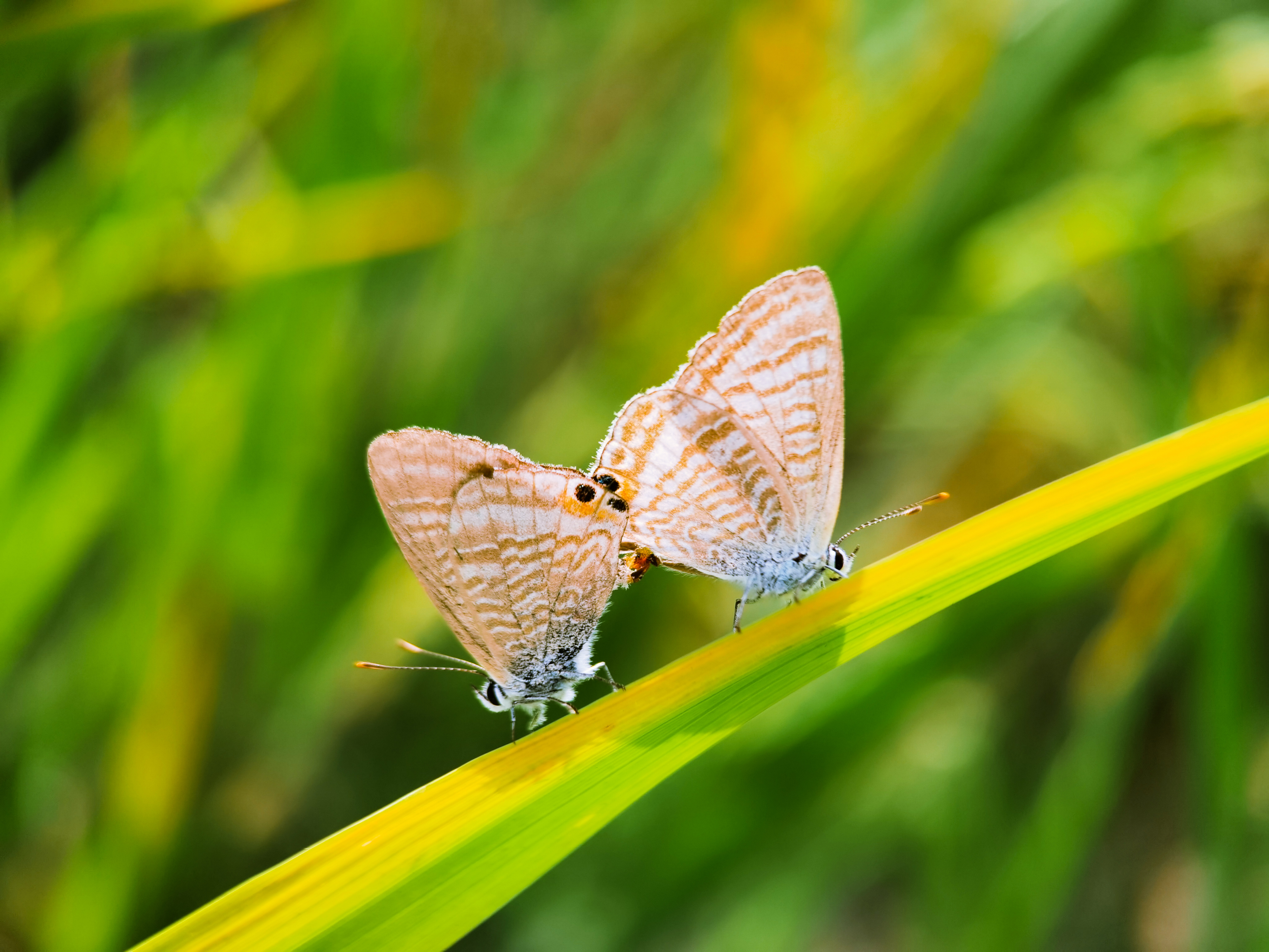 IMG_20211026_101559_polarr.jpg