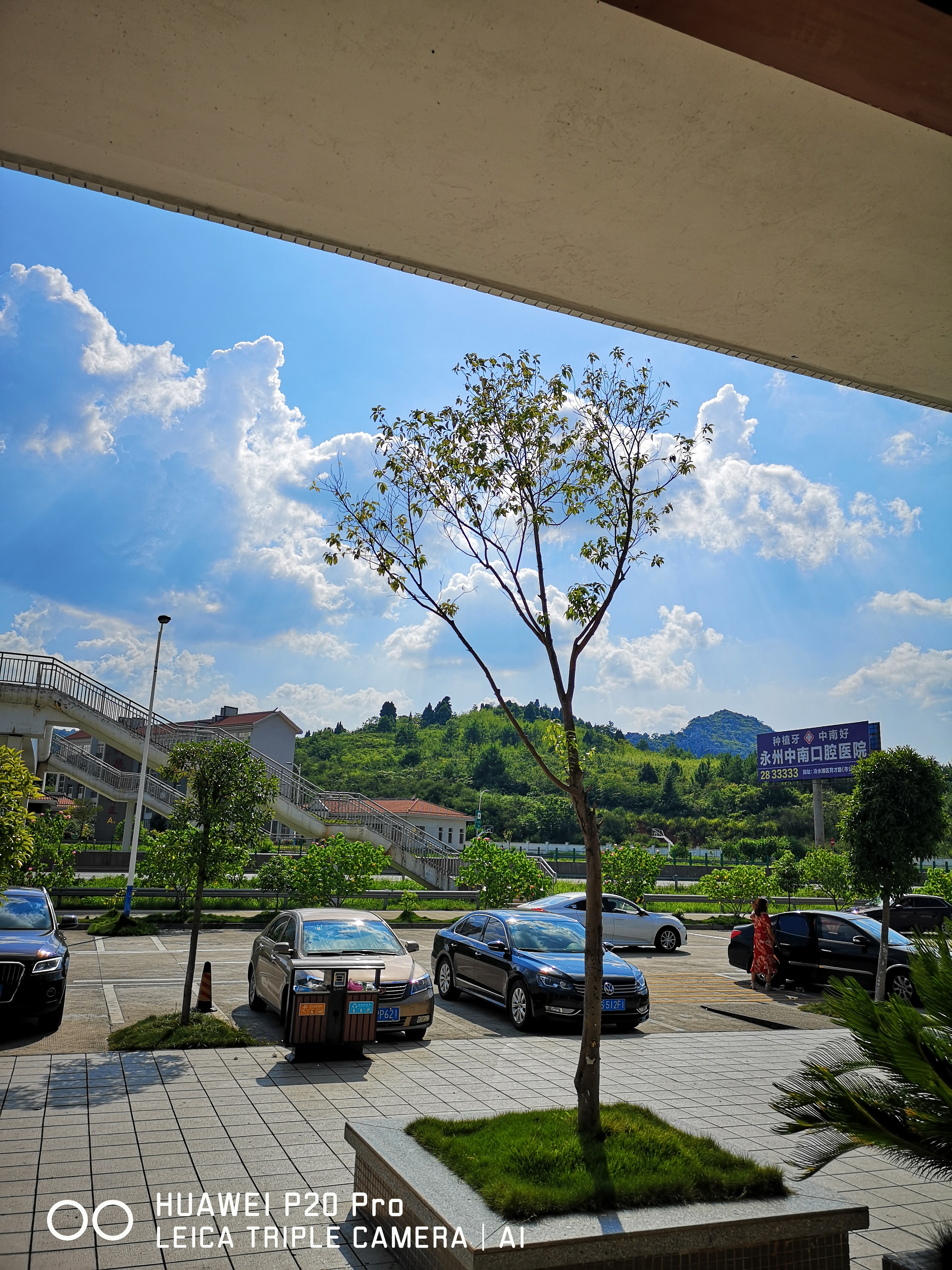 IMG_20180719_160244.jpg