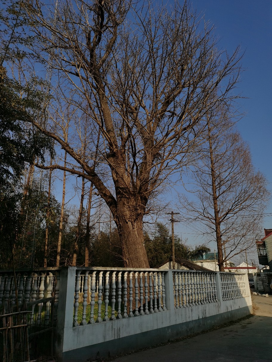 IMG_20220120_144748.jpg