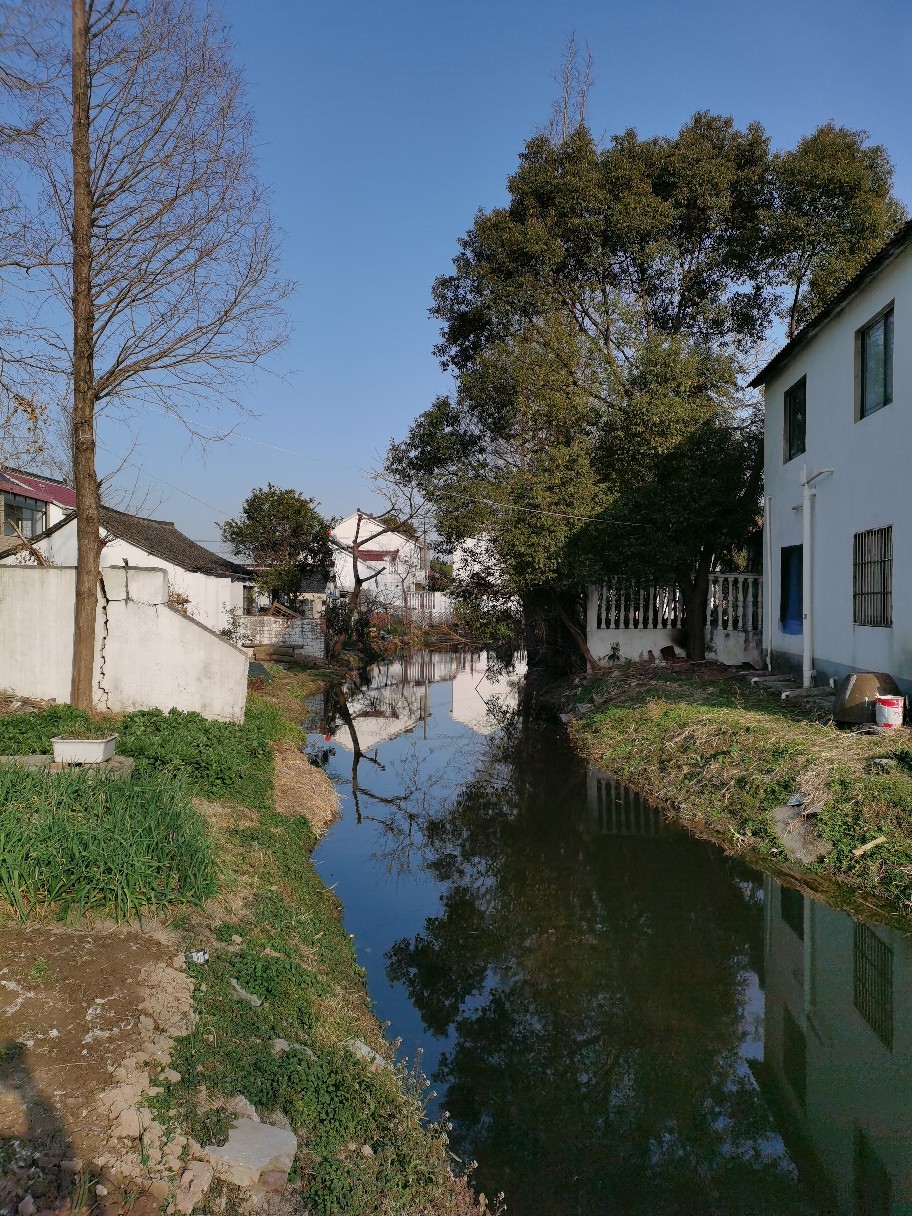 IMG_20220120_150533.jpg