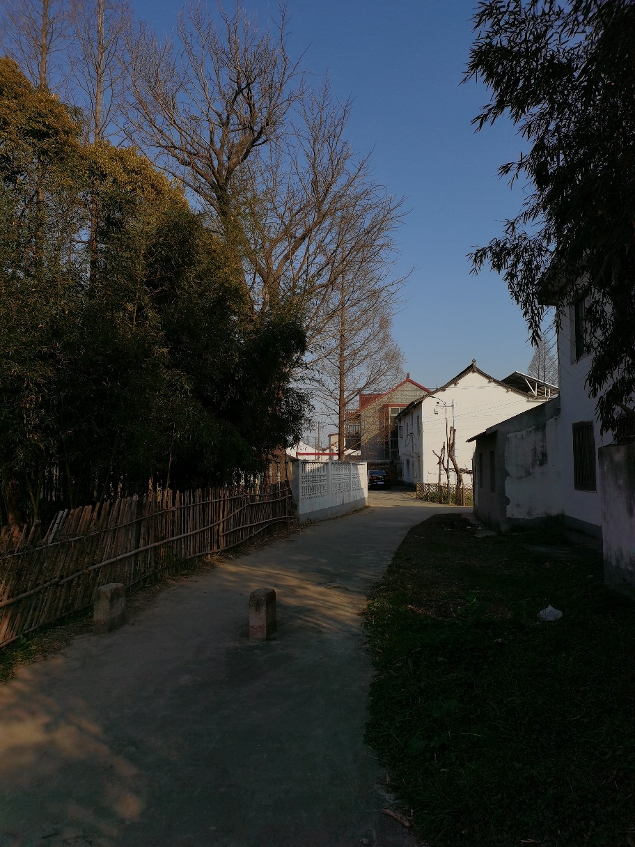 IMG_20220120_144720.jpg