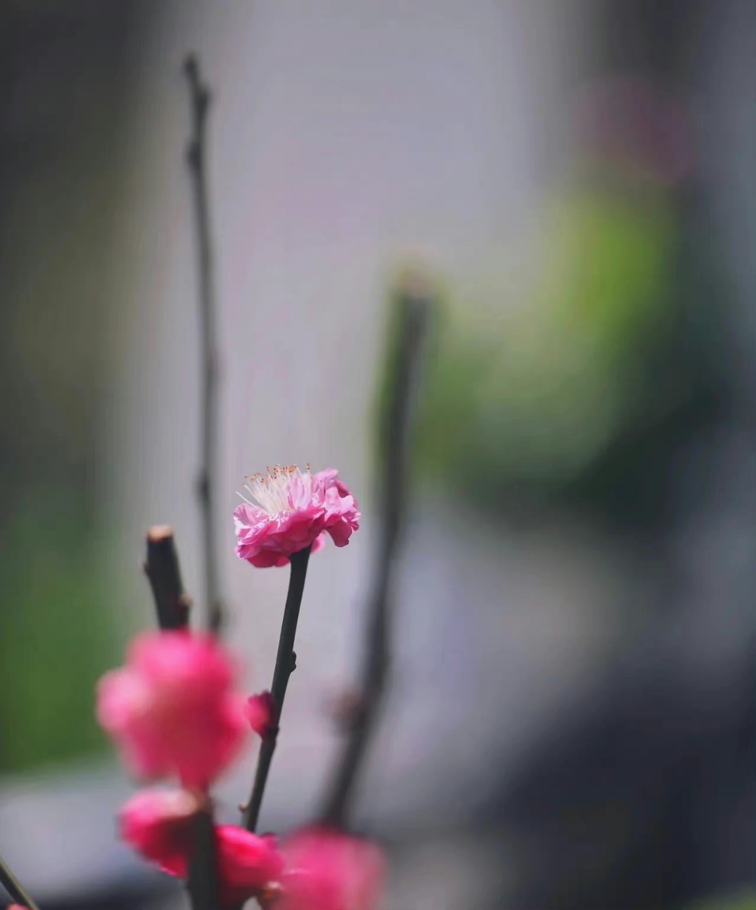 img-1642828338341c43cad9ce17104864f7f80248e480f36.jpg