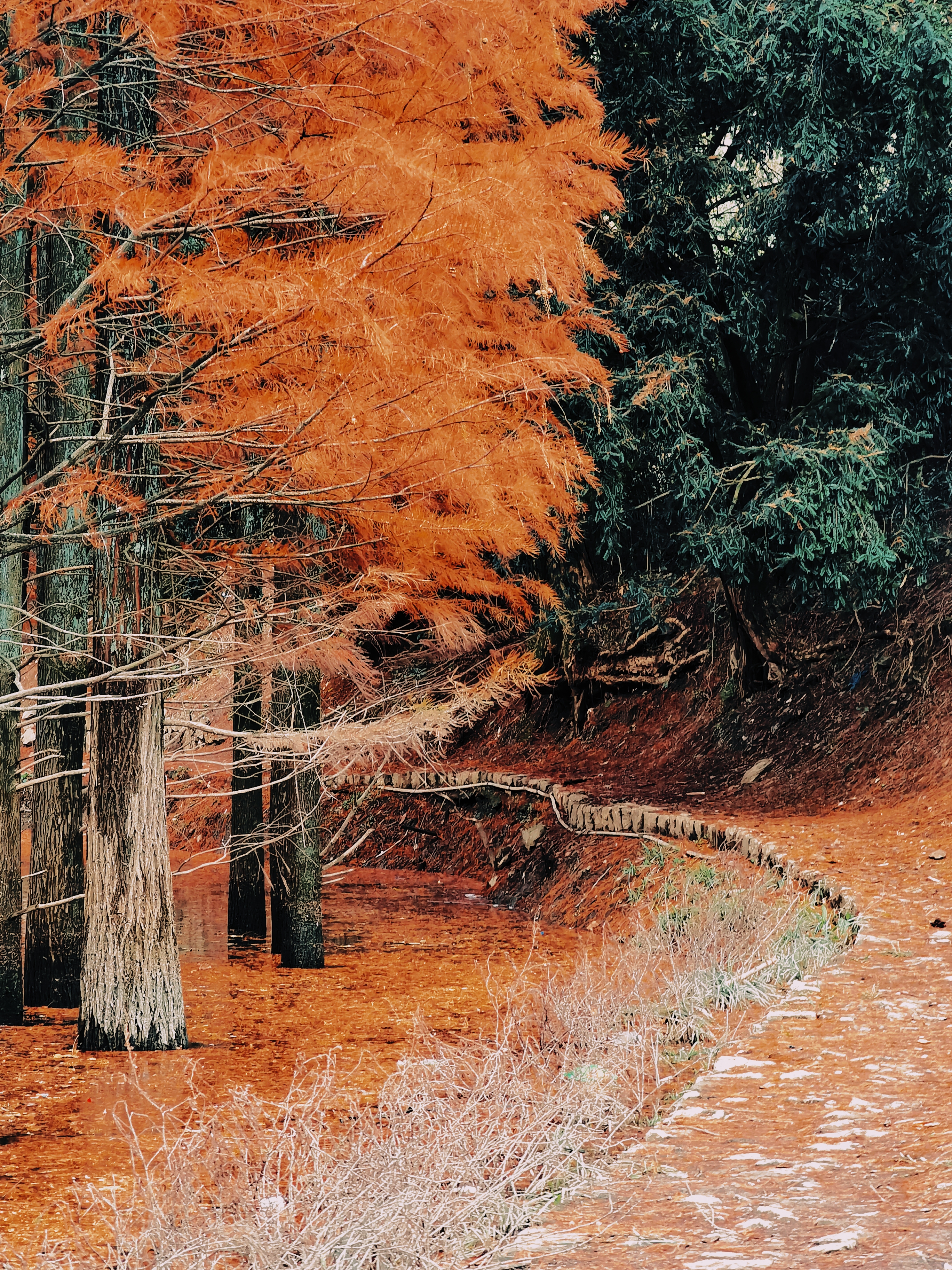 retouch_2021113018215422.jpg