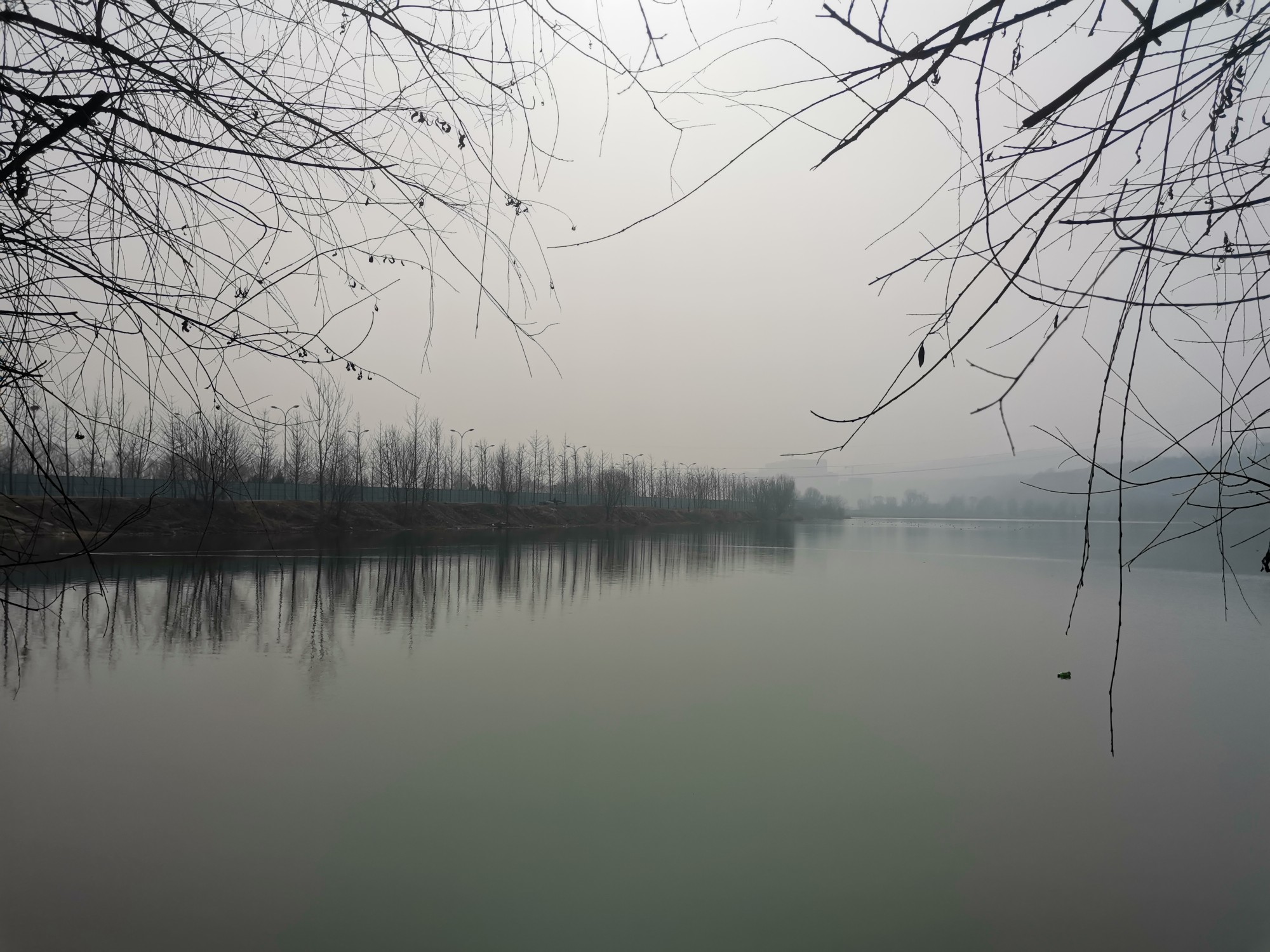 IMG_20220120_114136.jpg