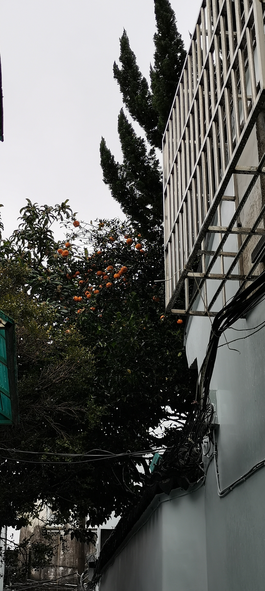 IMG_20220123_111127.jpg