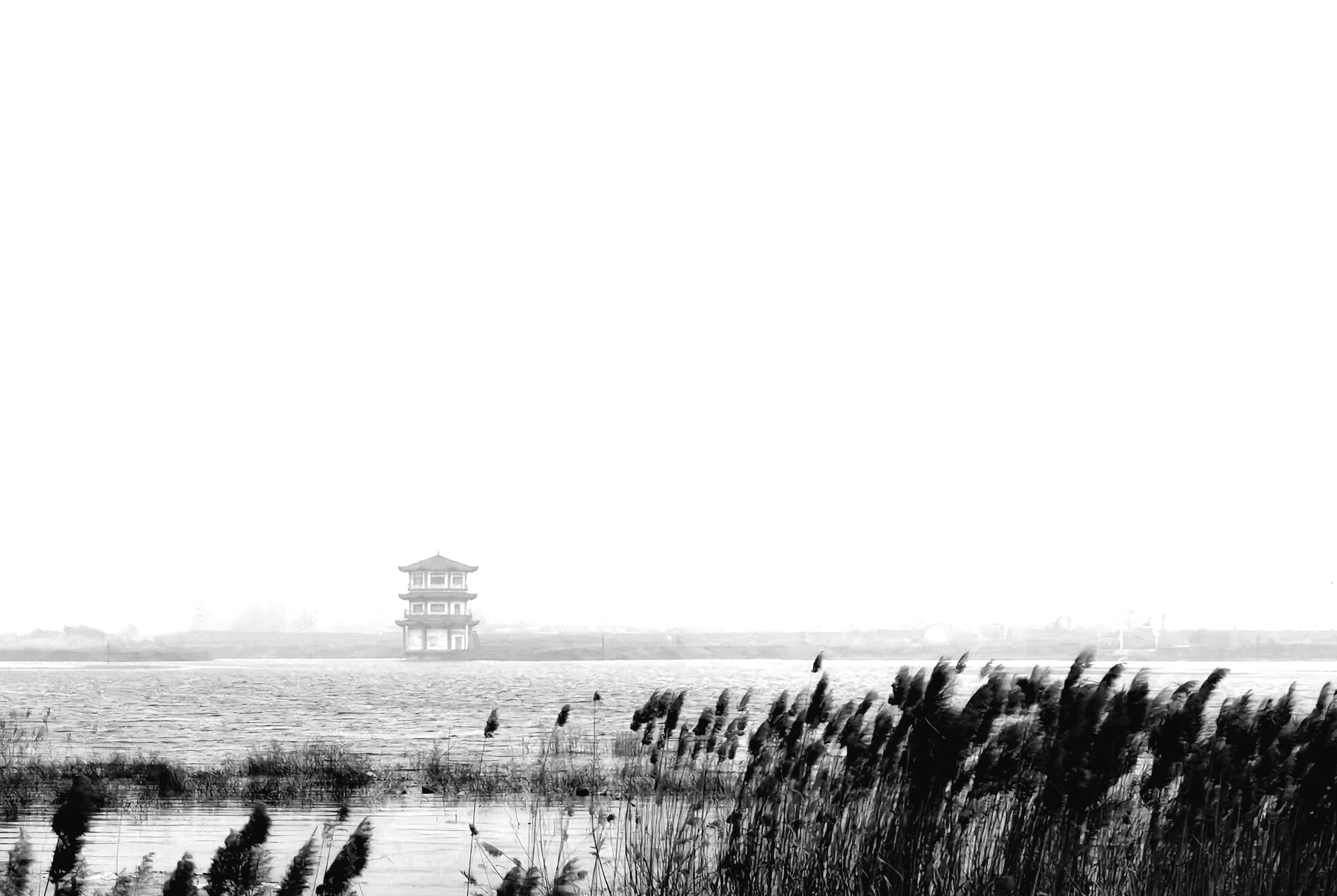IMG_20220123_122617.jpg