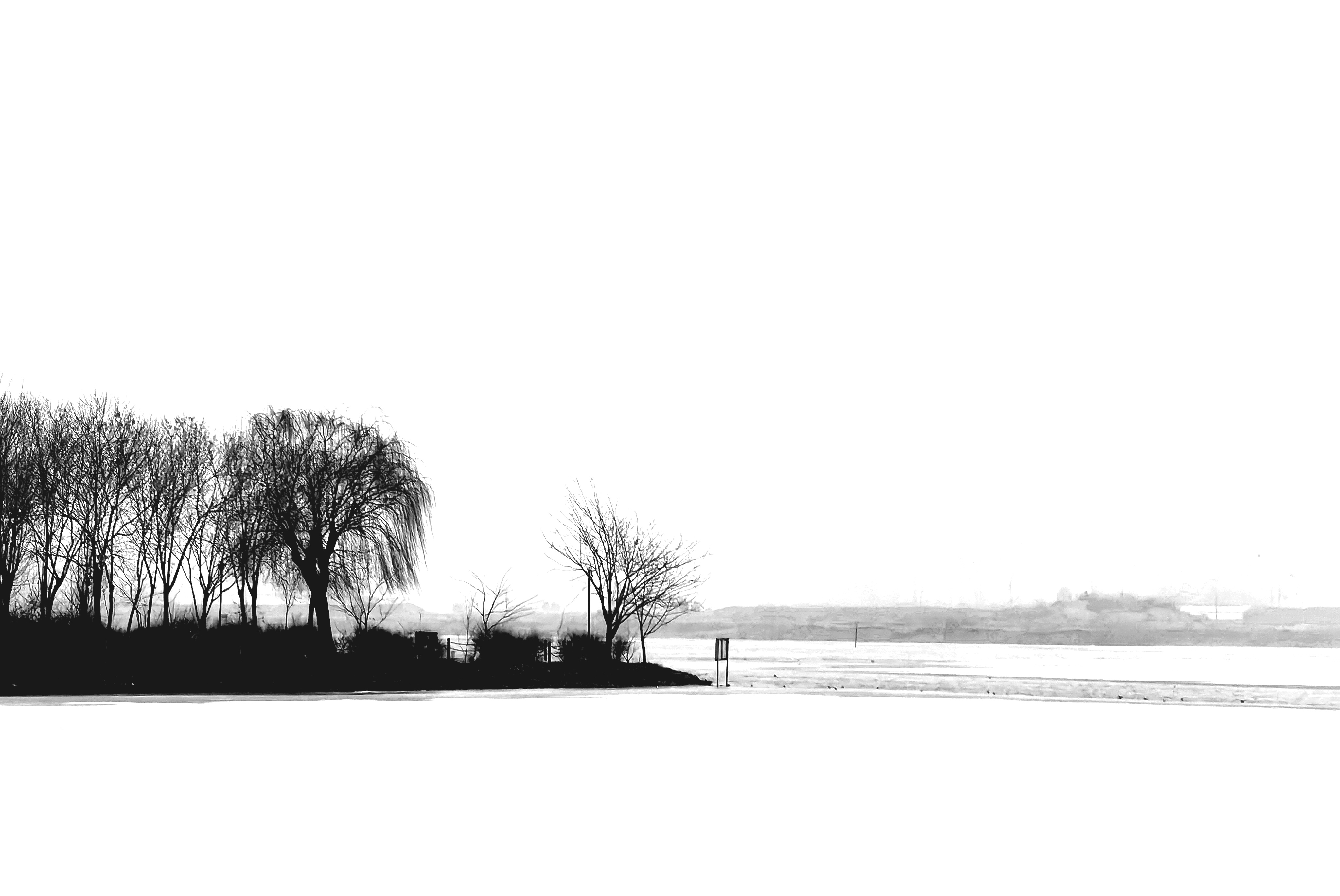 IMG_20220123_120551.jpg
