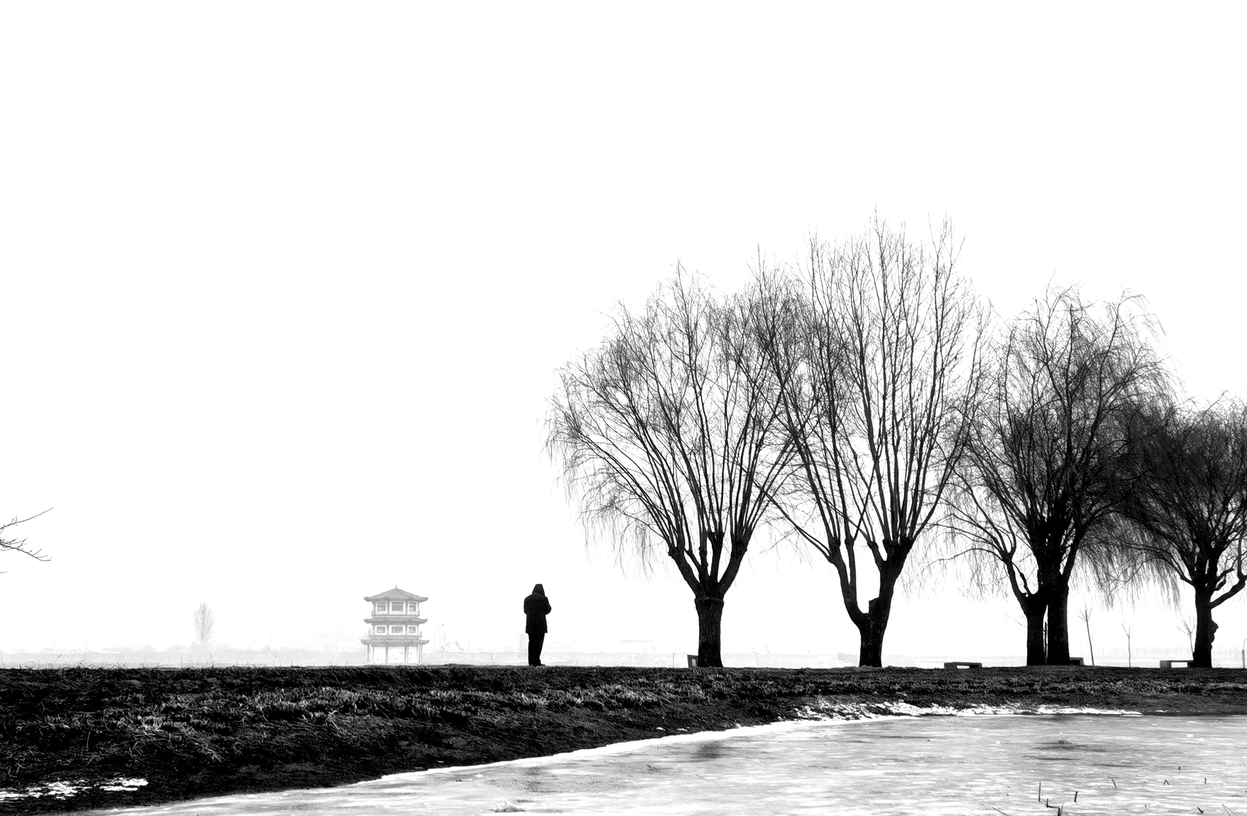 IMG_20220123_120516.jpg