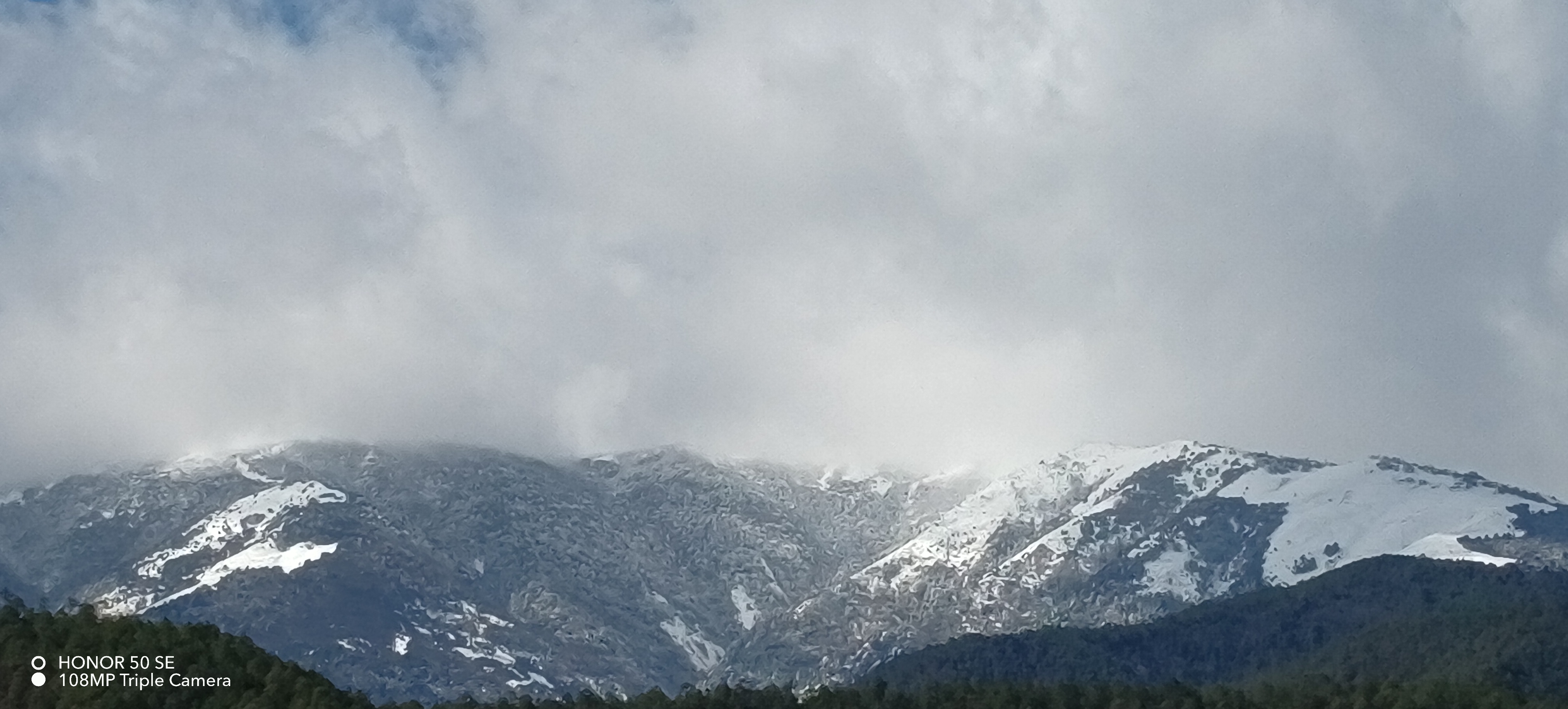 IMG_20220114_114340.jpg