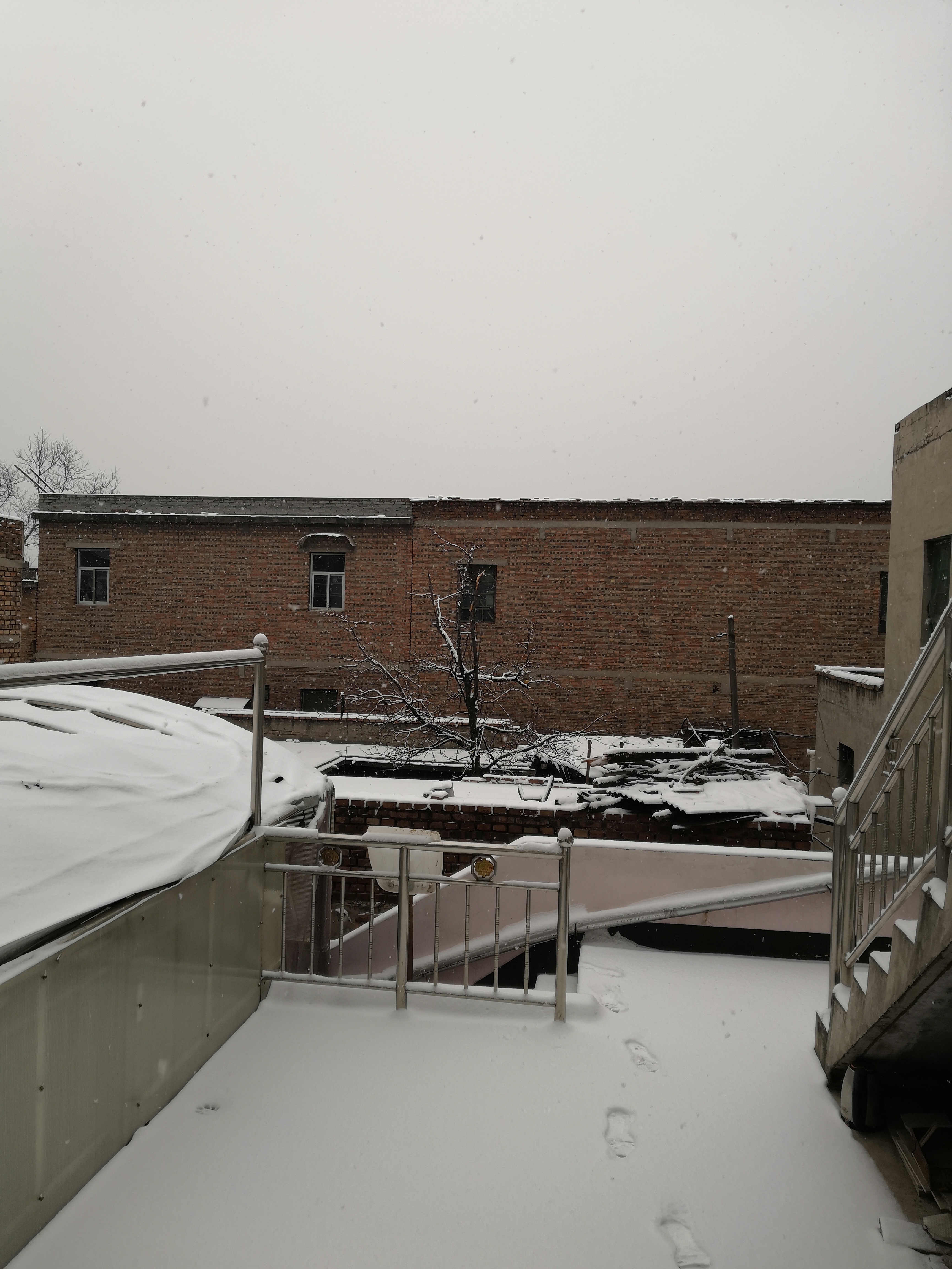 IMG_20190210_091037.jpg