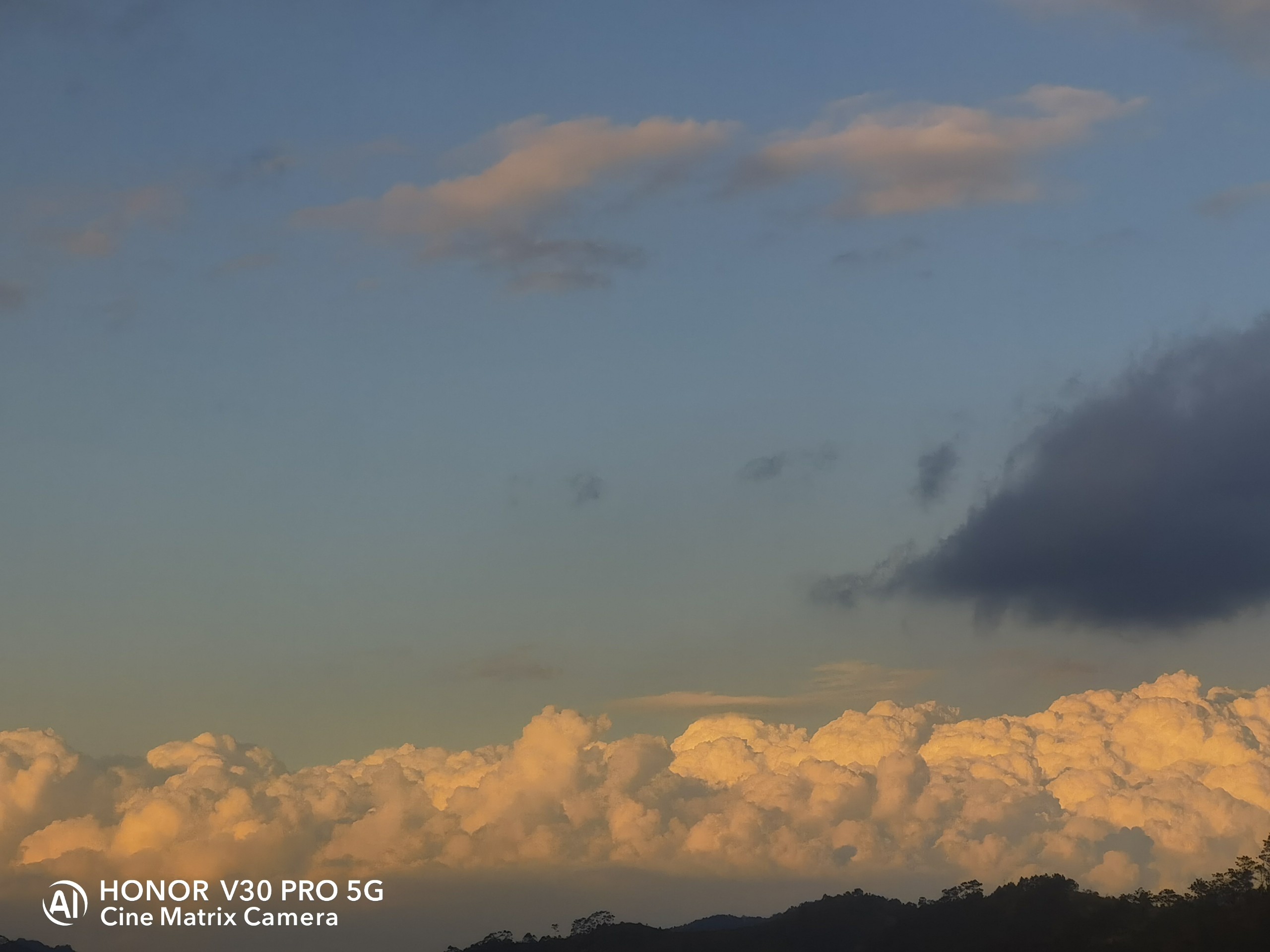 IMG_20220123_174746.jpg