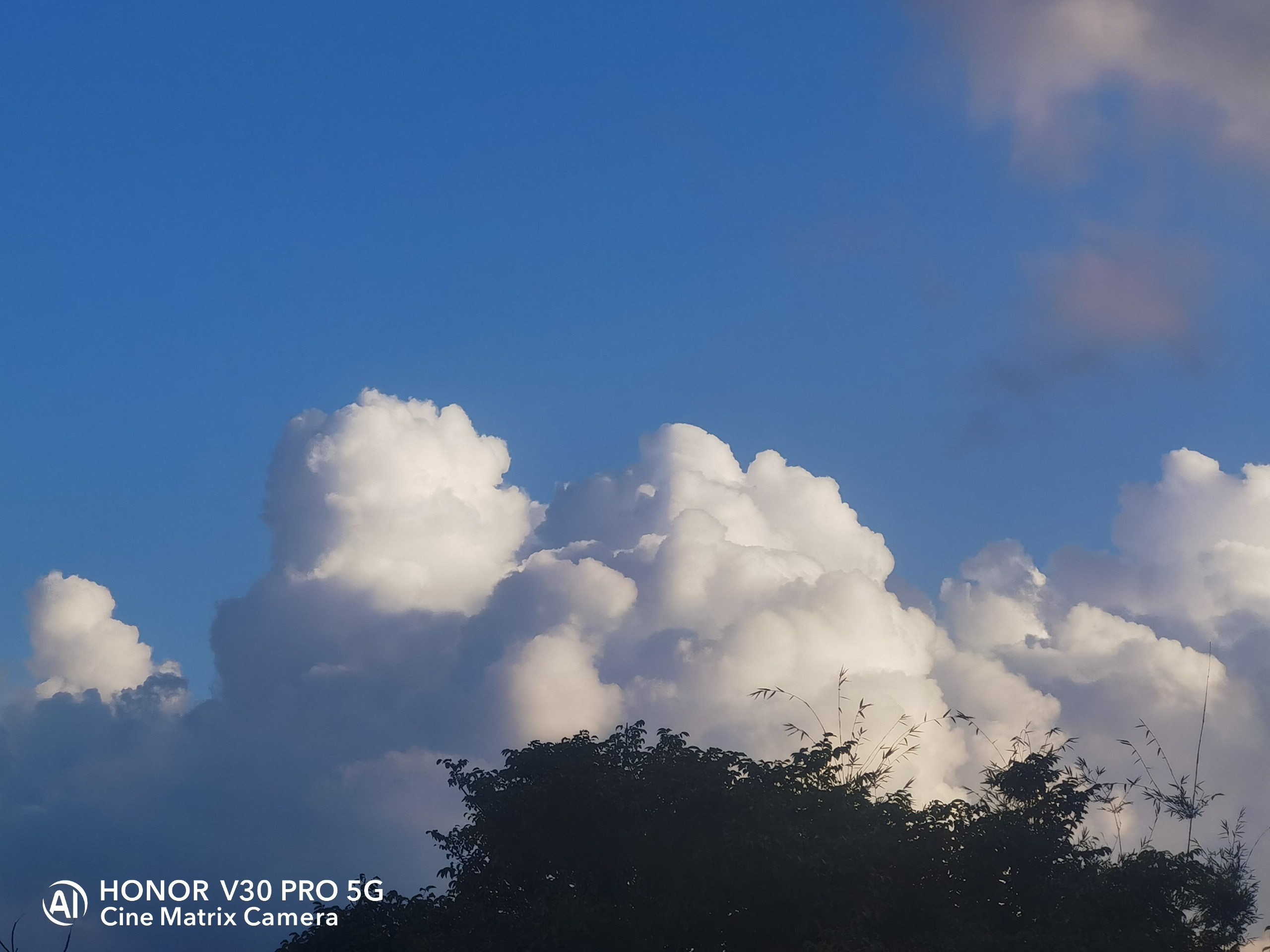 IMG_20220123_173126.jpg