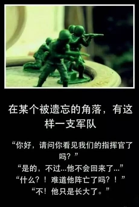未标题-1.jpg
