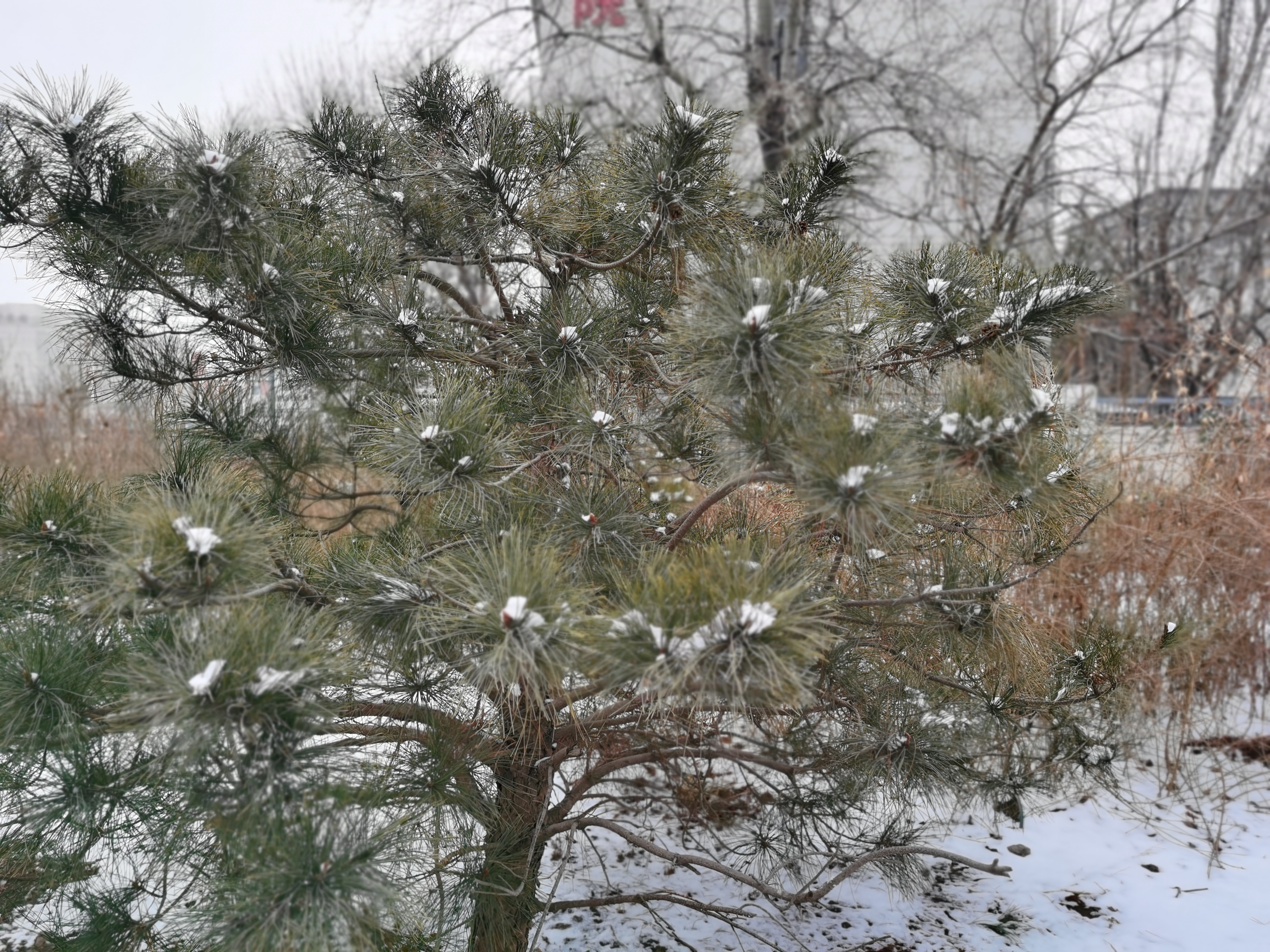 IMG_20220123_155913.jpg