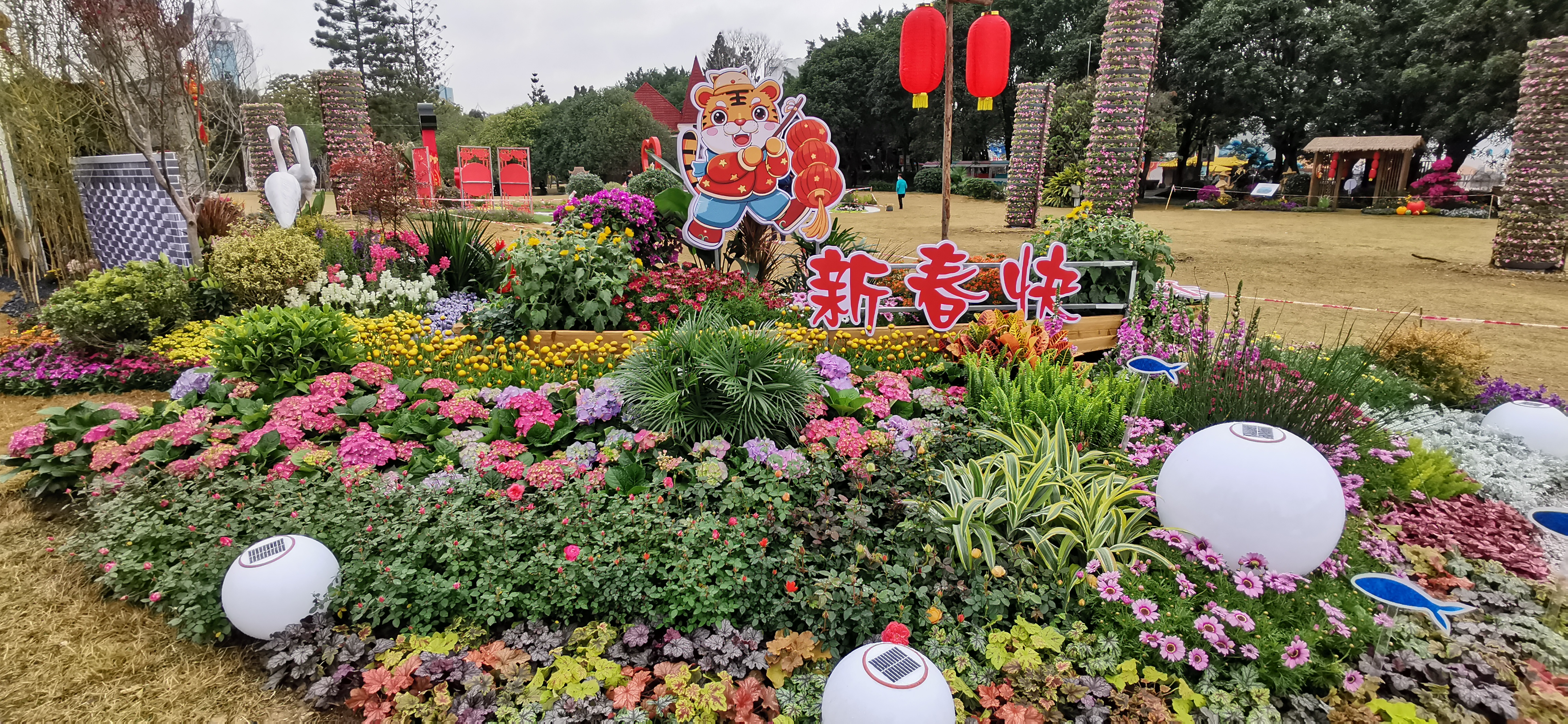 IMG_20220124_102249.jpg
