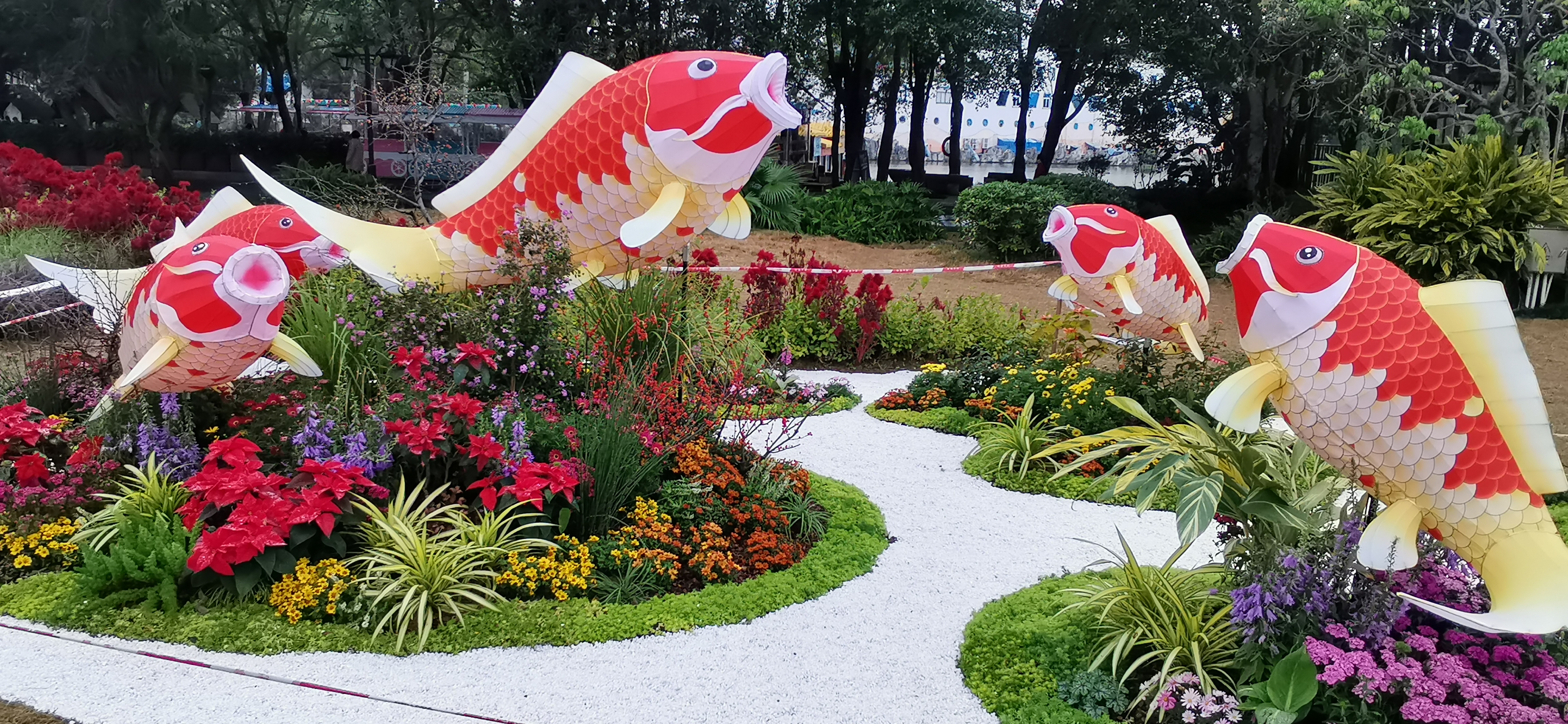 IMG_20220124_102757.jpg