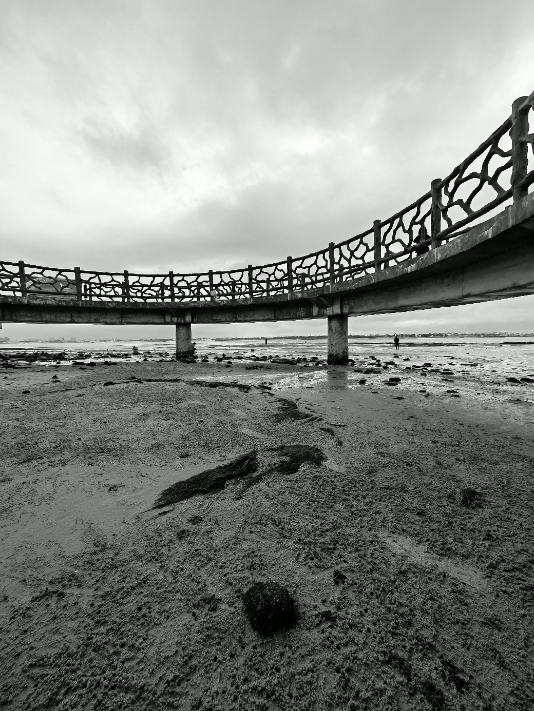 IMG_20220124_110656.jpg