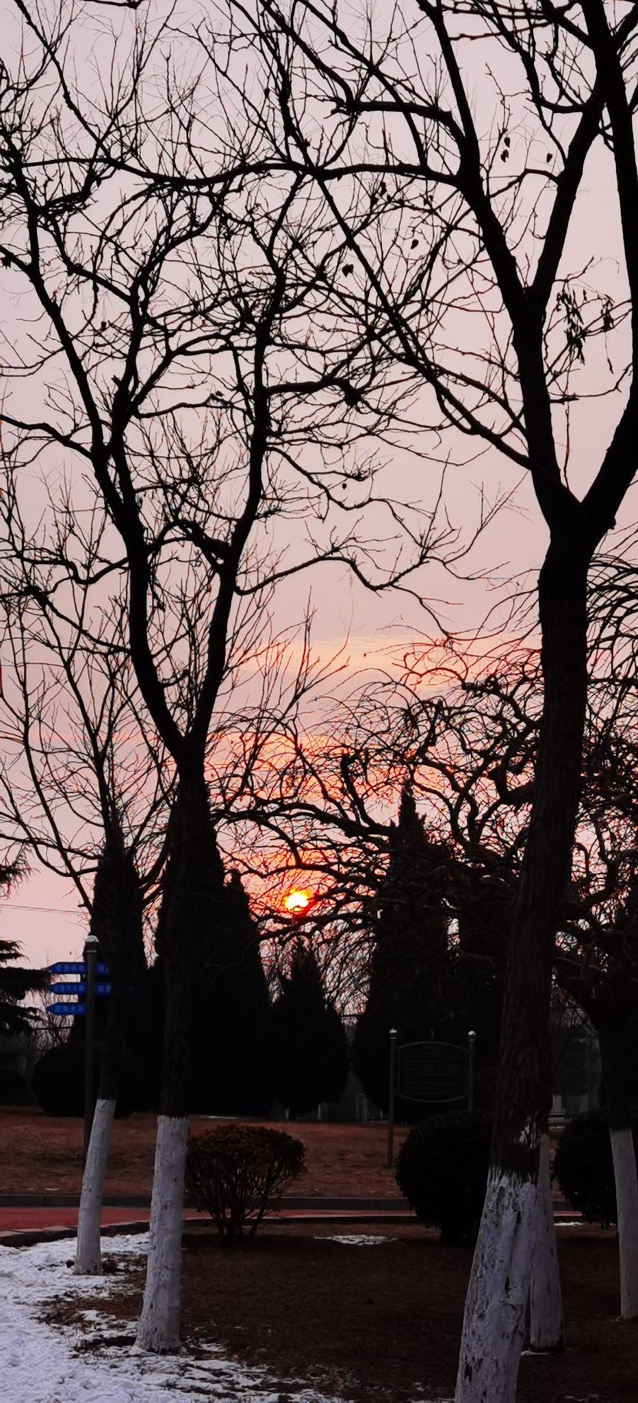IMG_20220125_074538.jpg