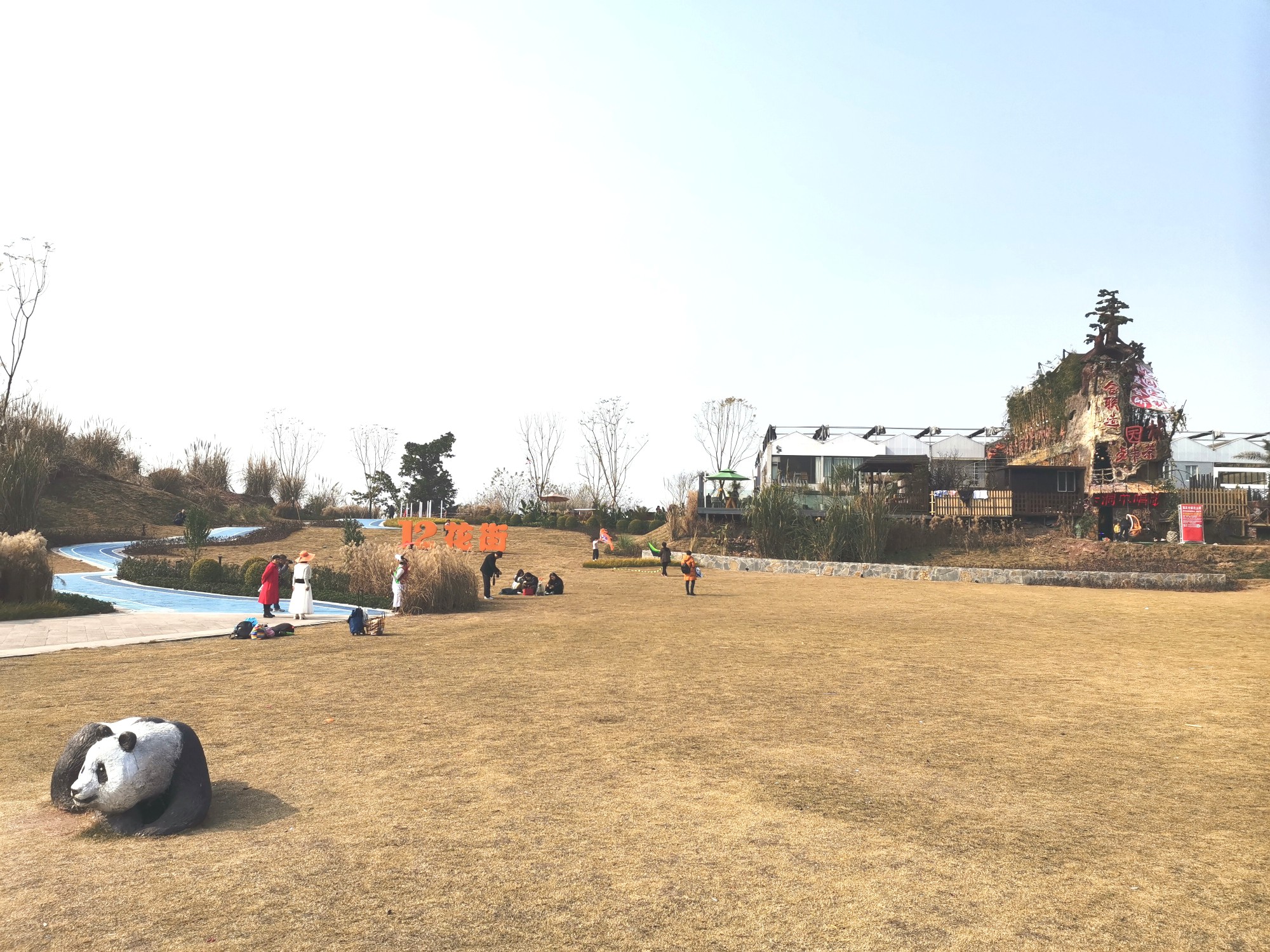 IMG_20220125_103151.jpg