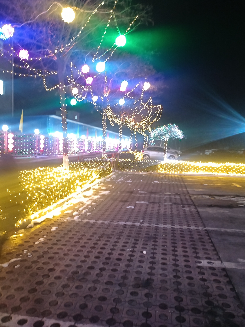 IMG_20220126_003546.jpg