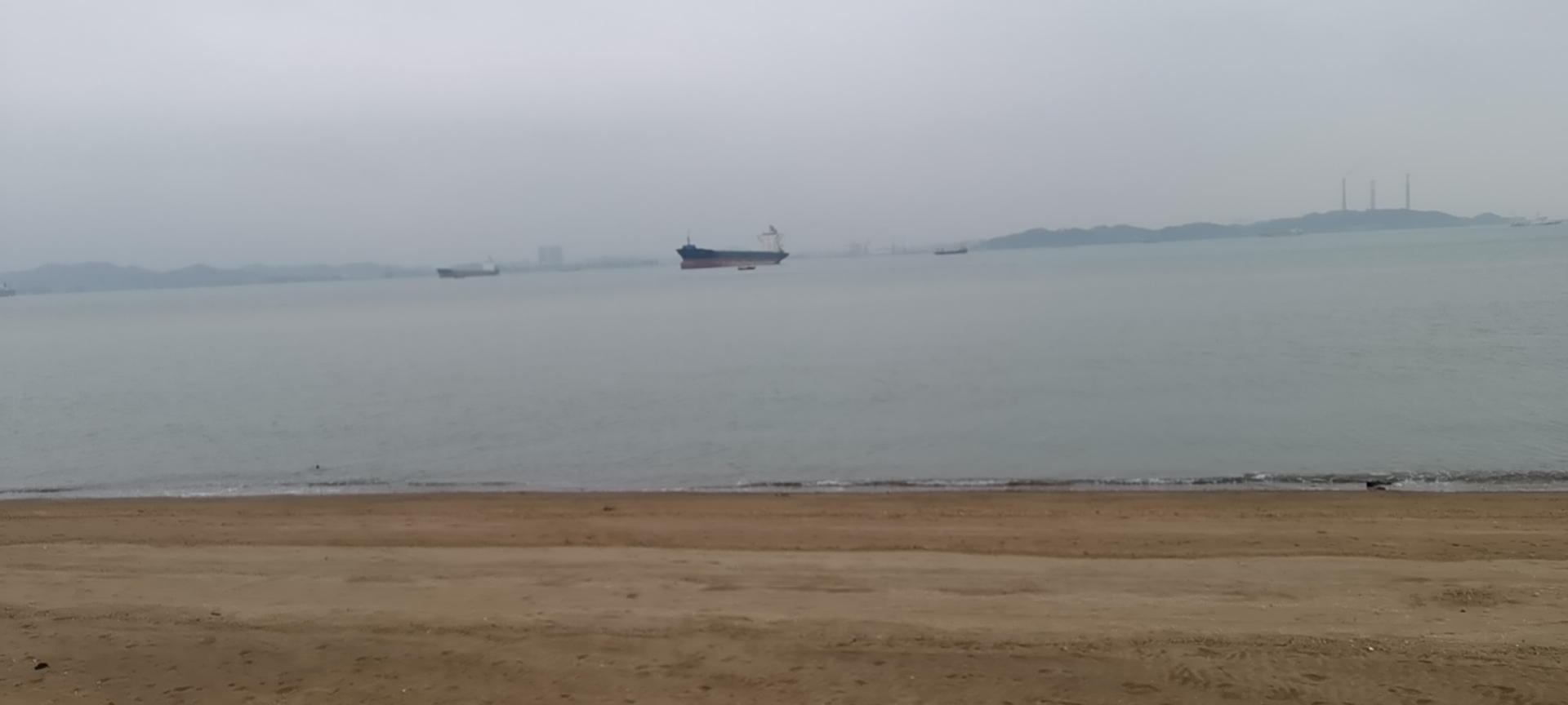 wx_camera_1643172691588.jpg