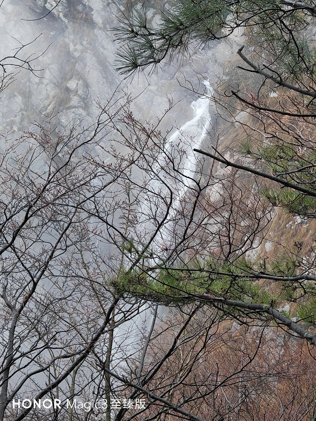 IMG_20220126_151806.jpg
