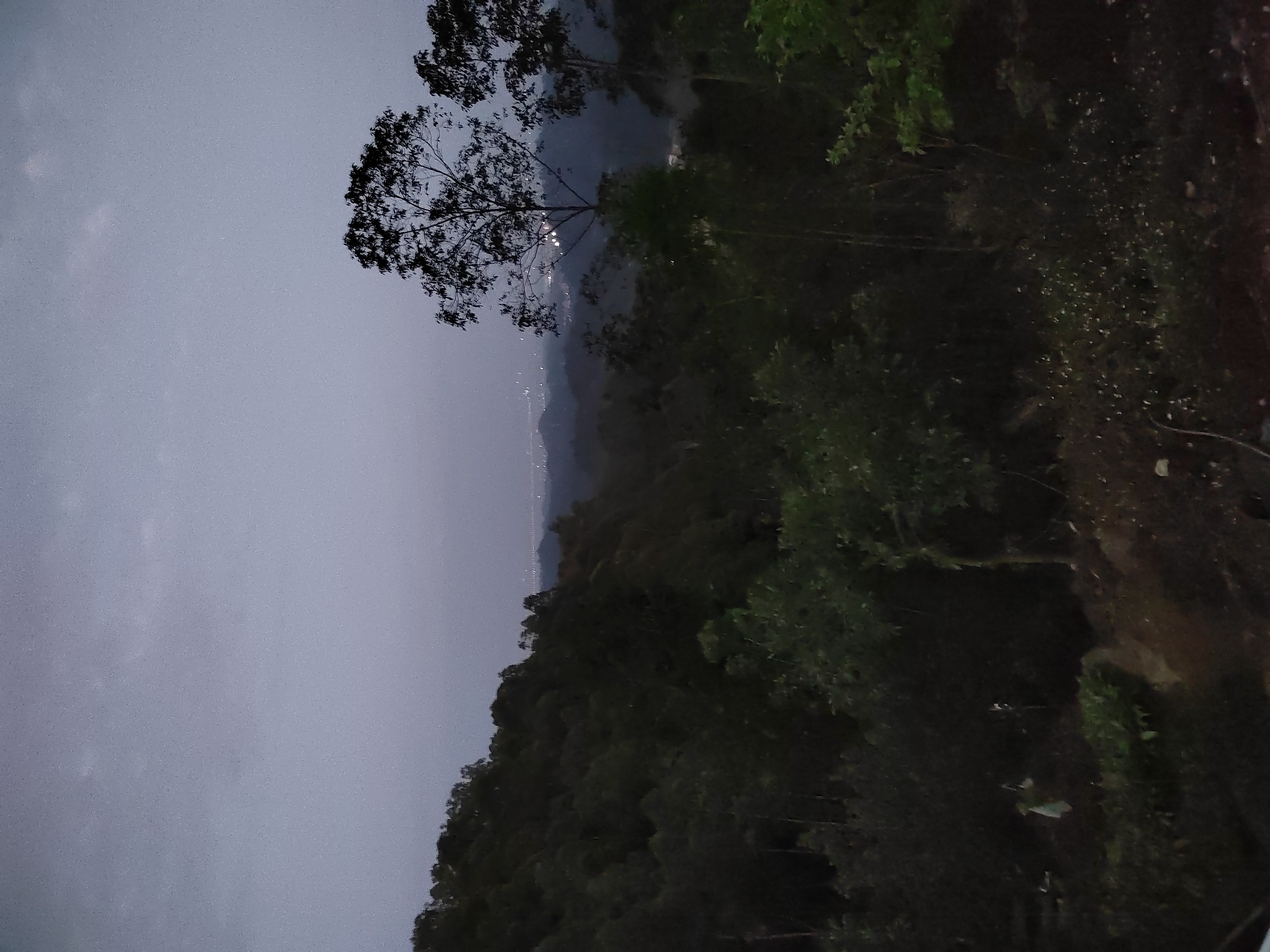 IMG_20220127_183617.jpg
