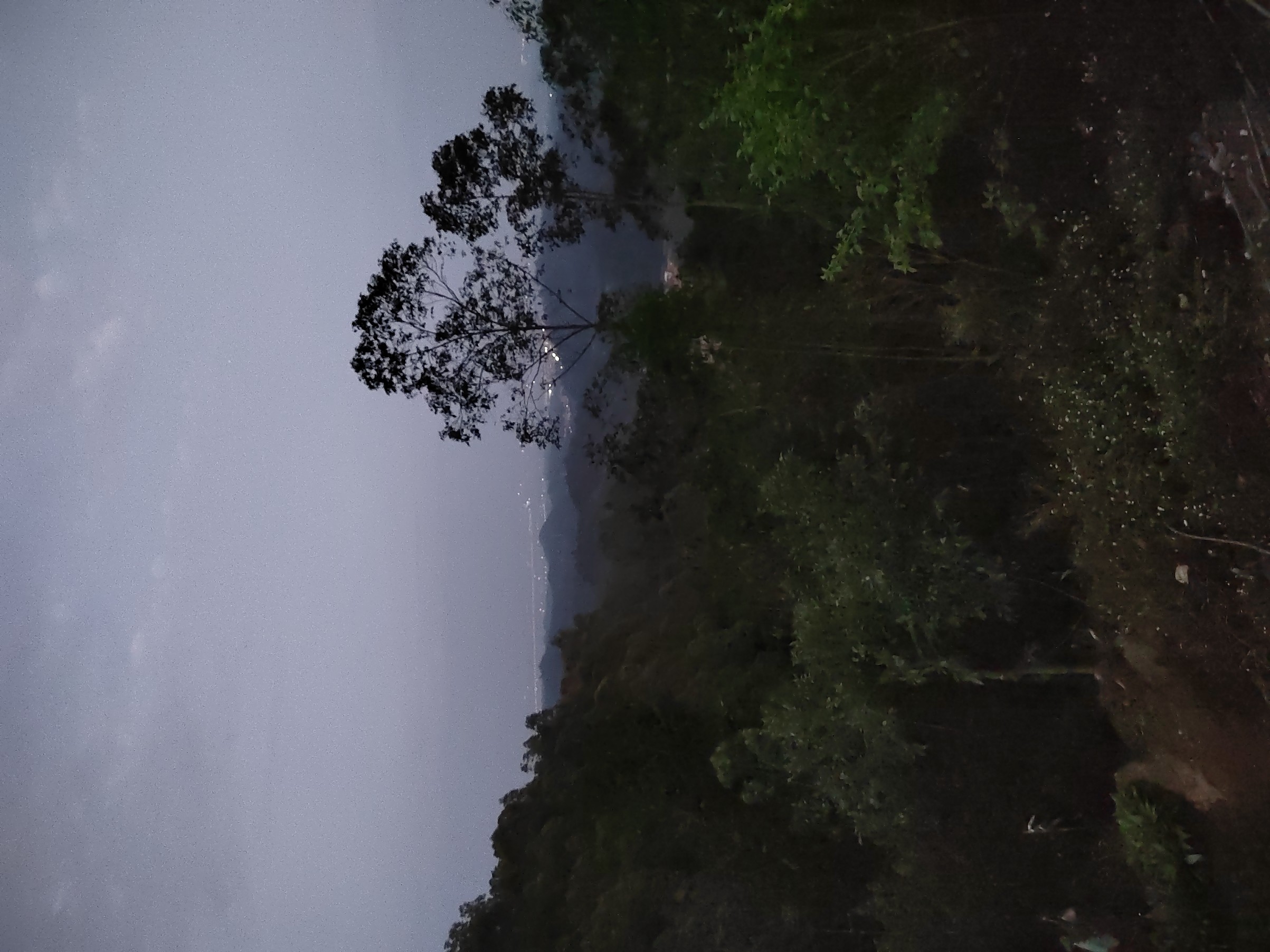 IMG_20220127_183600.jpg