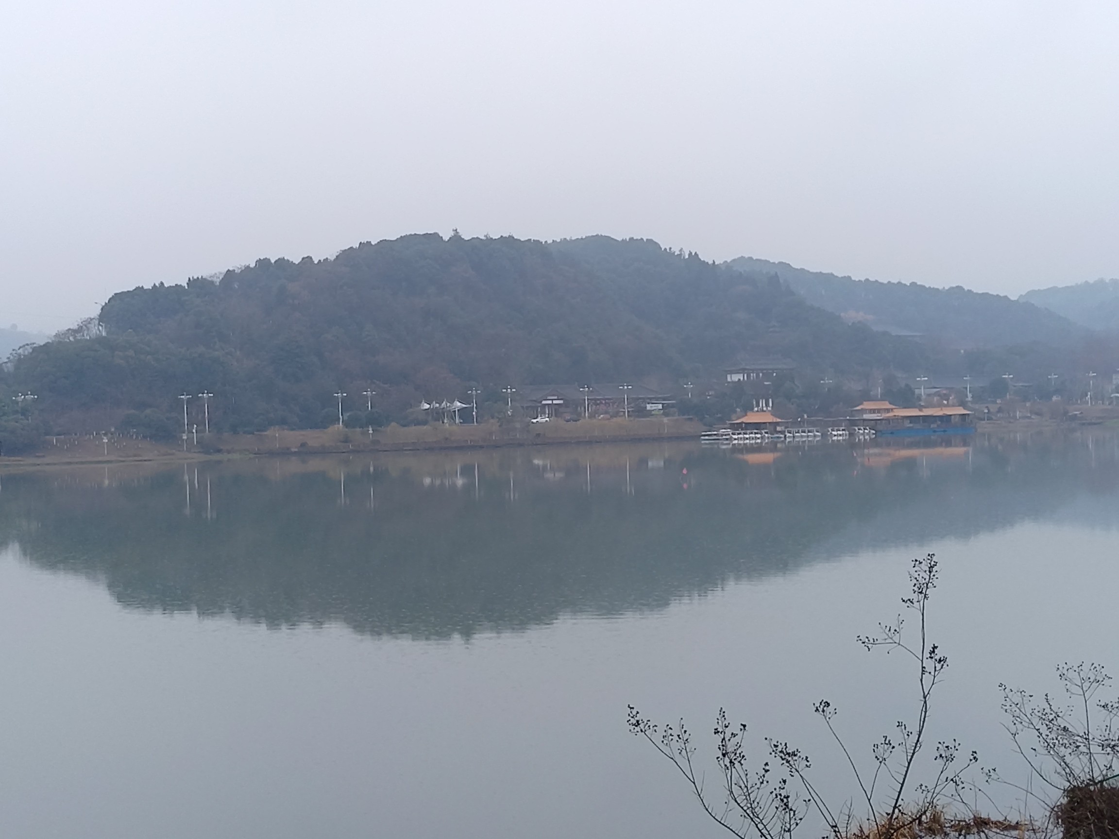IMG_20220127_110114.jpg