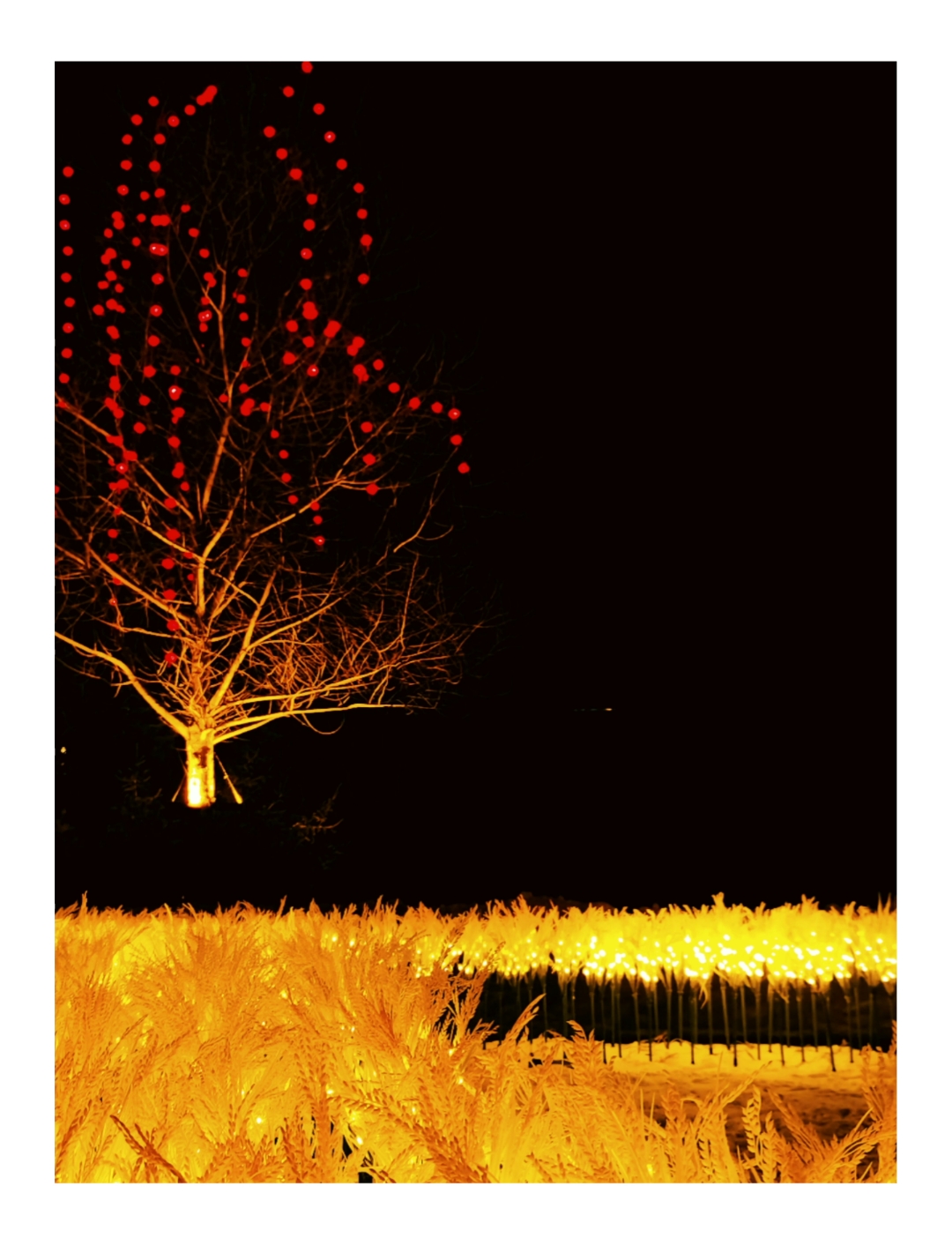 2022_01_25_233608713_20220125_233643.png