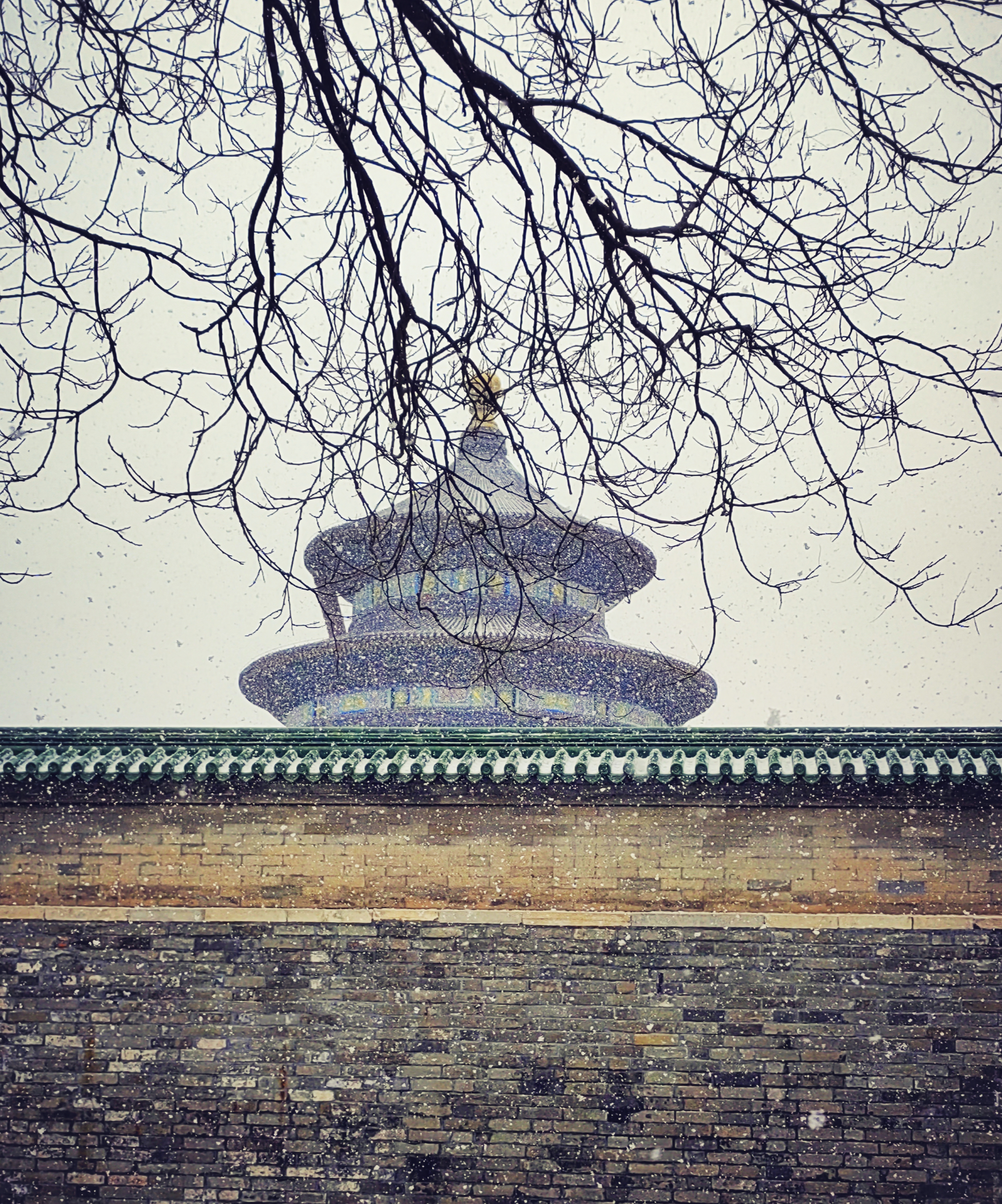 Mix_20220128_010347.jpg