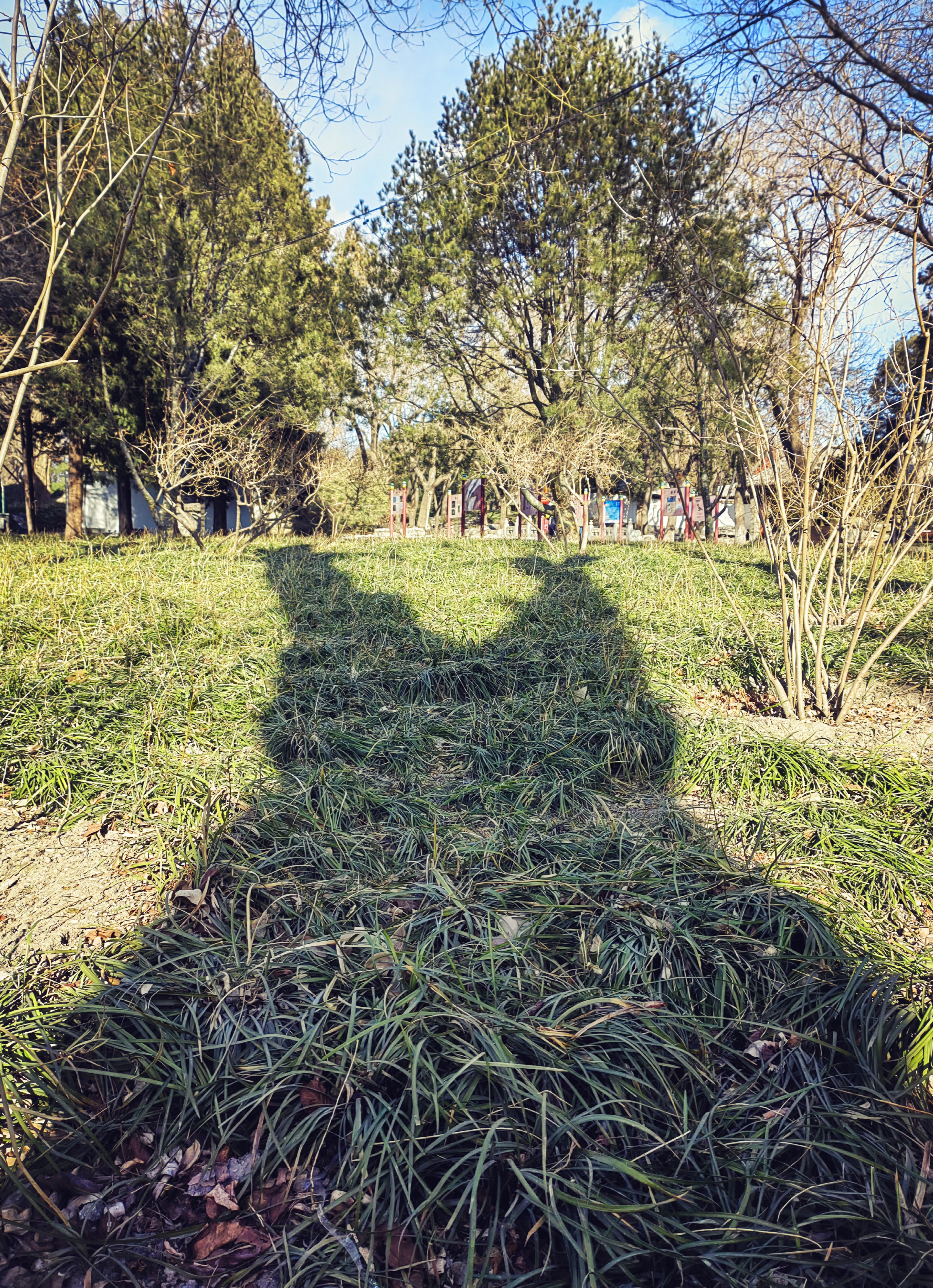 Mix_20220128_010137.jpg