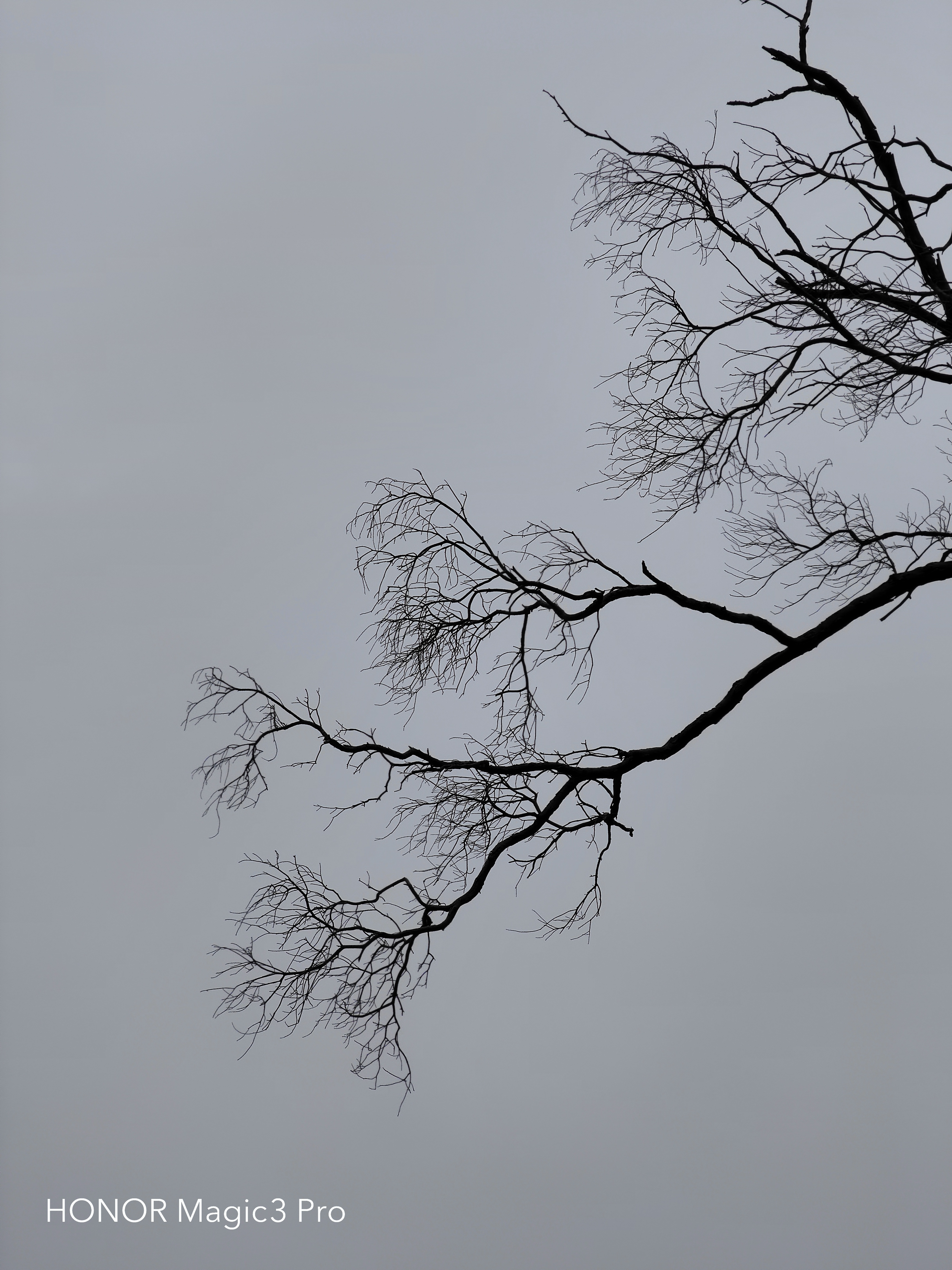 IMG_20220128_081634.jpg