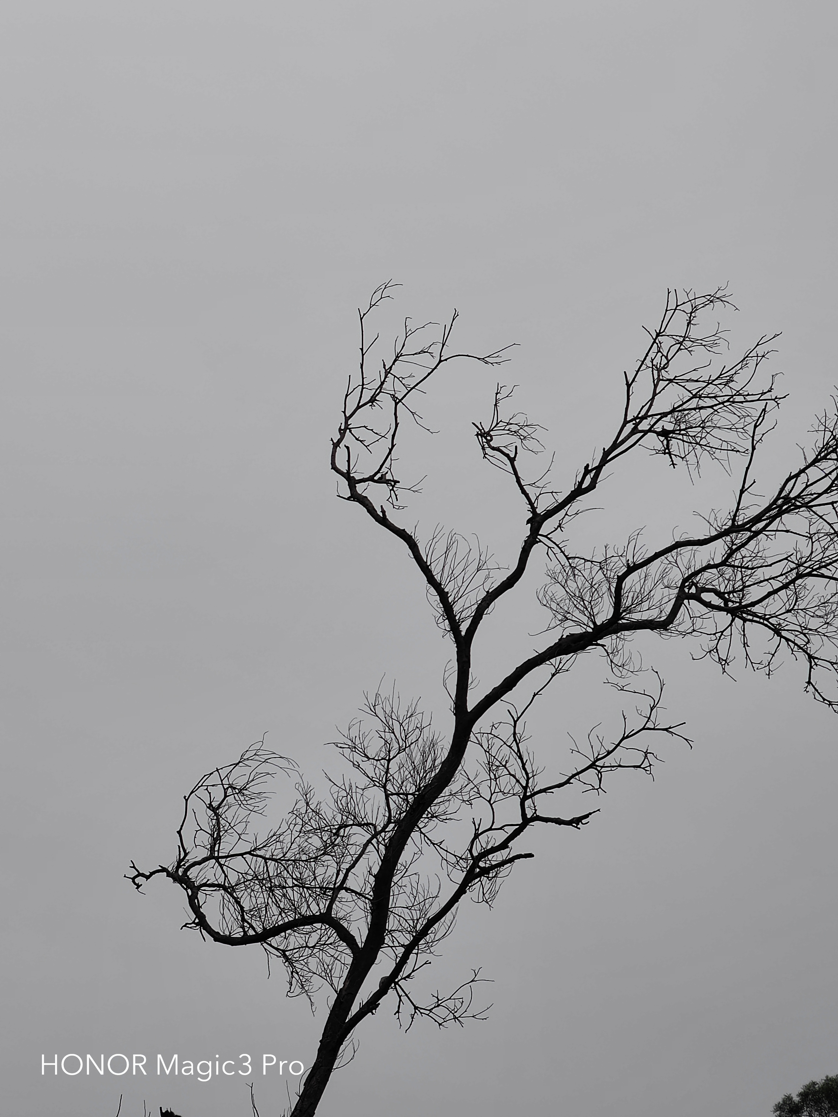 IMG_20220128_082057.jpg