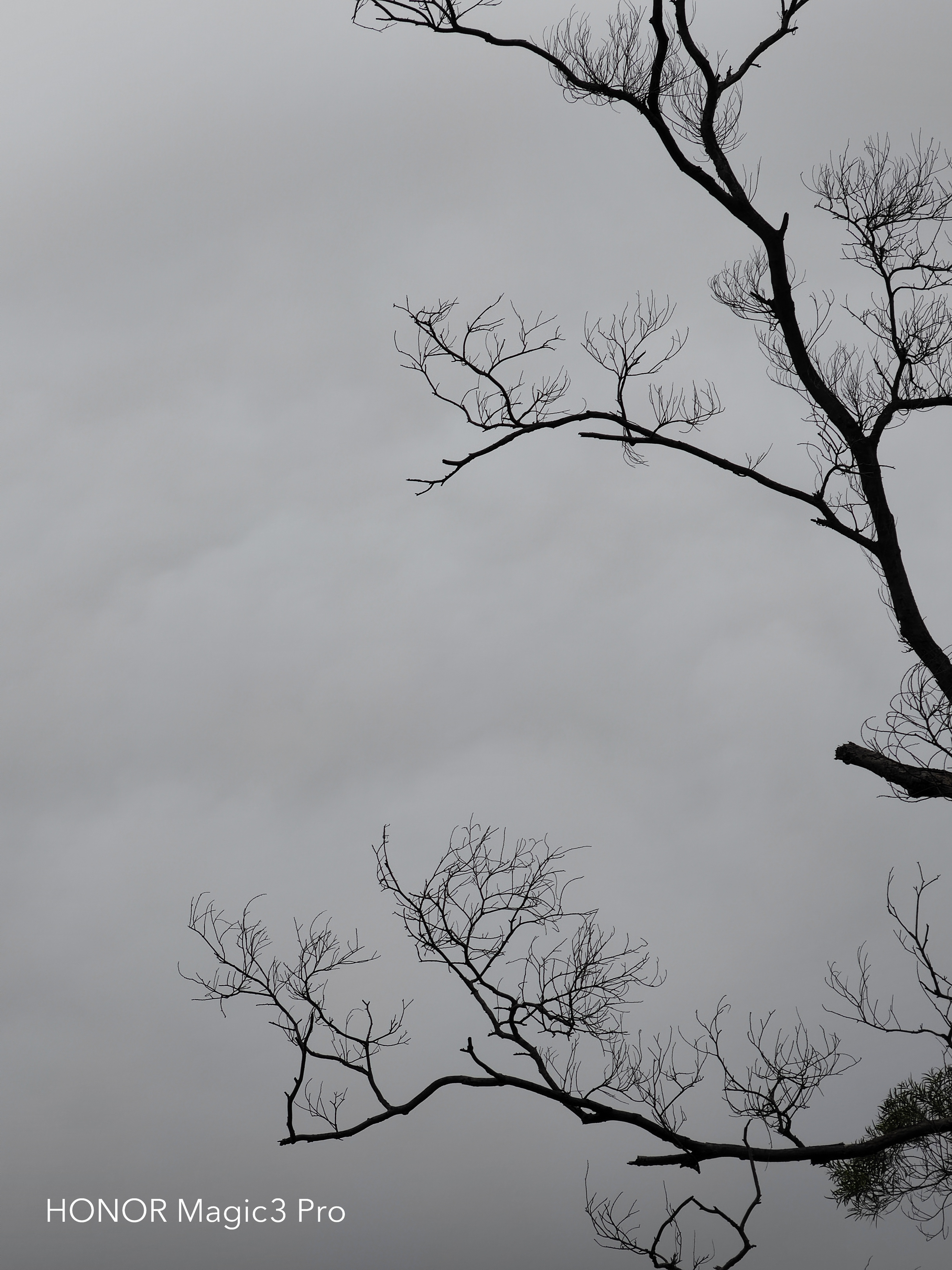 IMG_20220128_081822.jpg