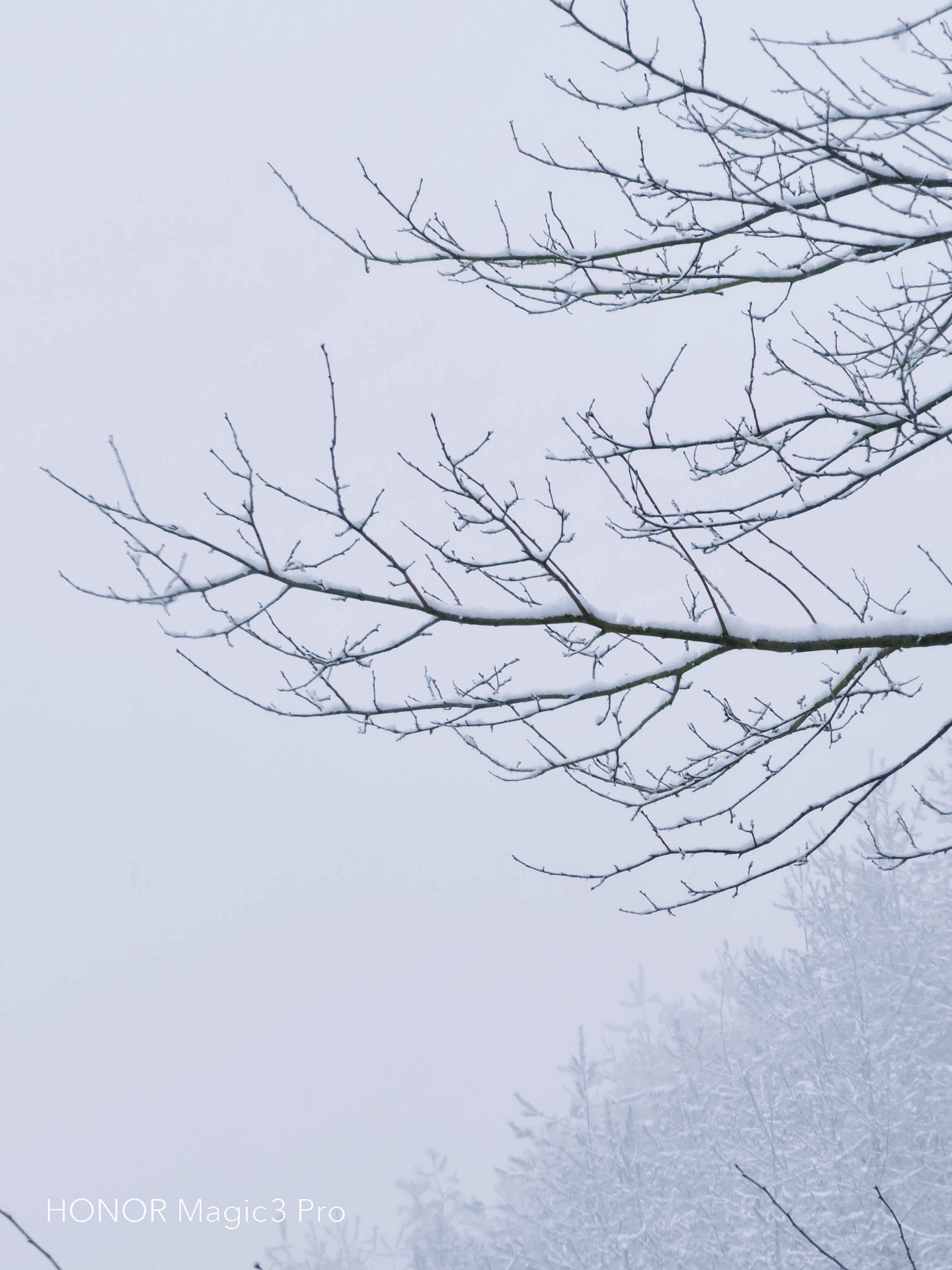 retouch_2022012811305165.jpg