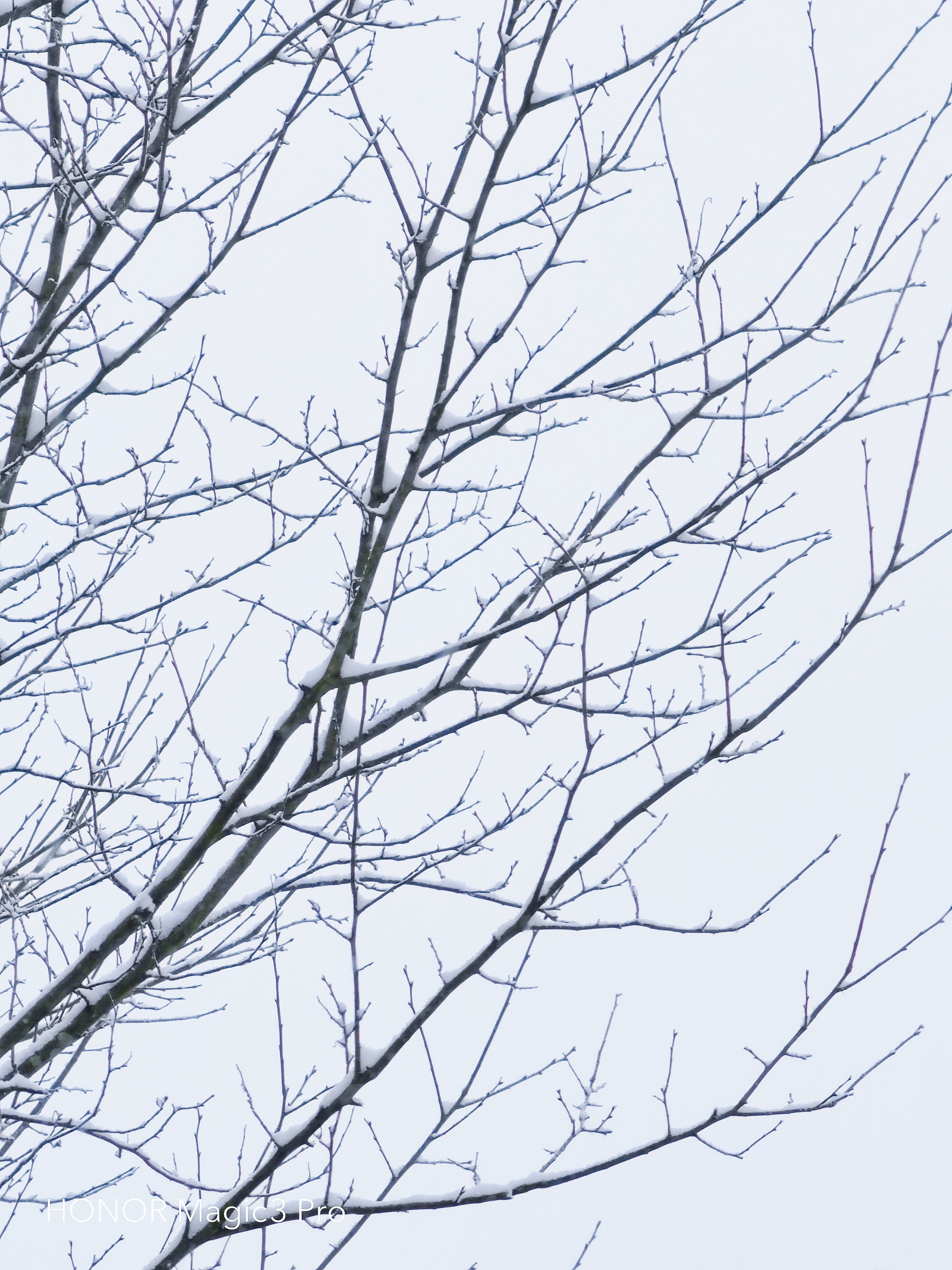 retouch_2022012811285544.jpg