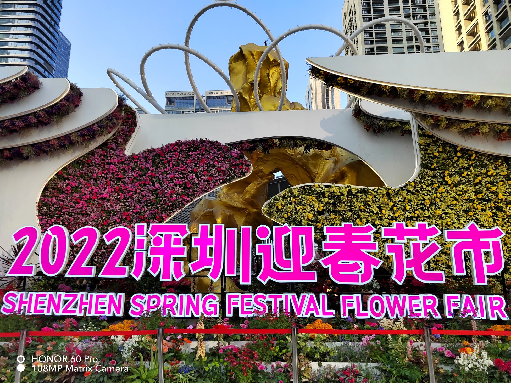IMG_20220127_165131.jpg