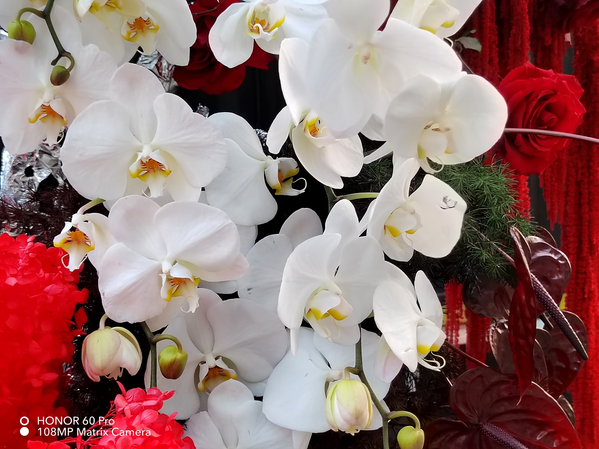 IMG_20220127_174628.jpg