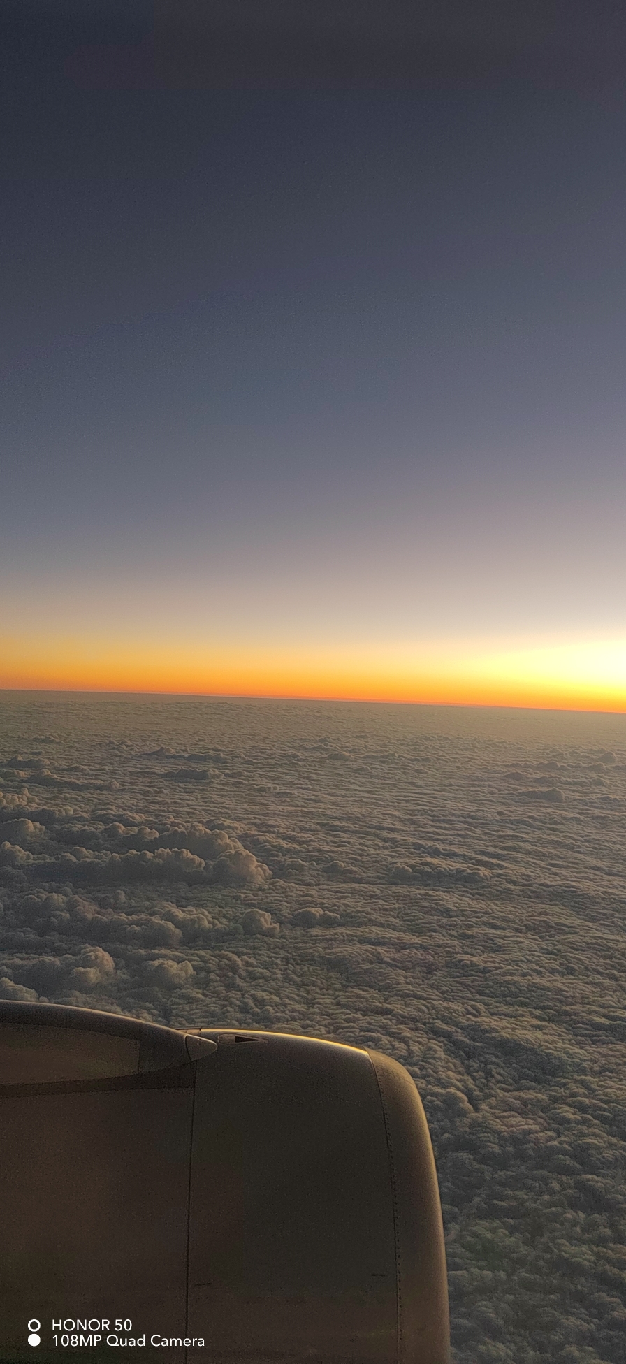 IMG_20220126_183627.jpg