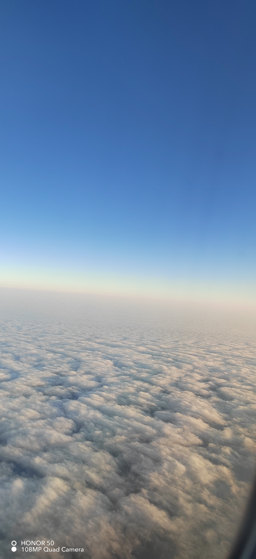 IMG_20220126_172123.jpg