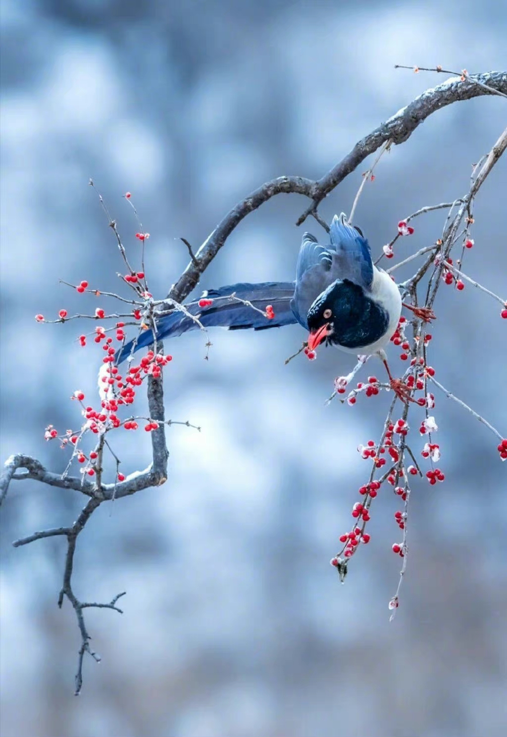 img-16433498476593751f850bcc3671394db6d2b41528124.jpg